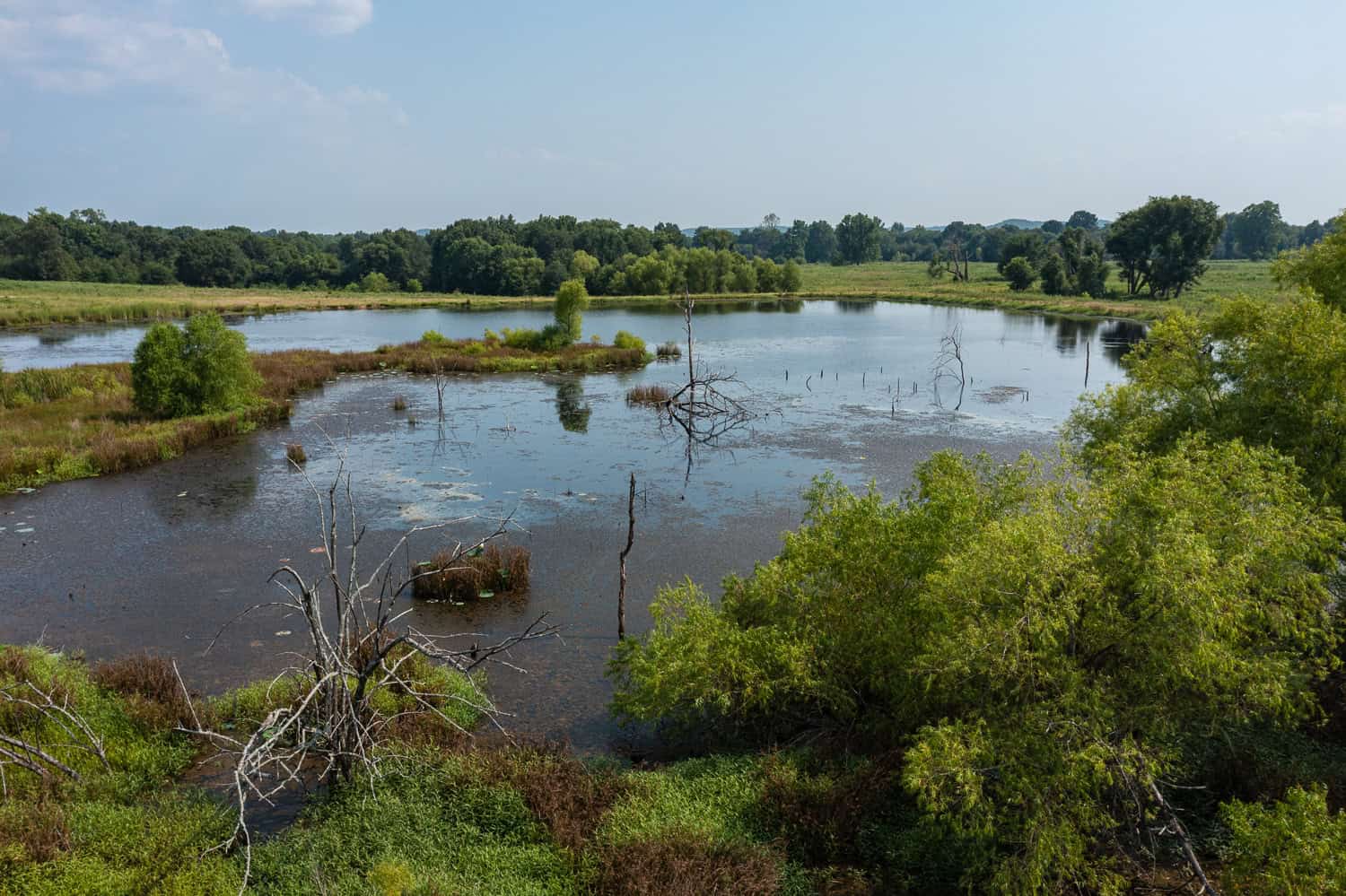 Premier Hunting & Cattle Ranch for Sale Near McAlester OK