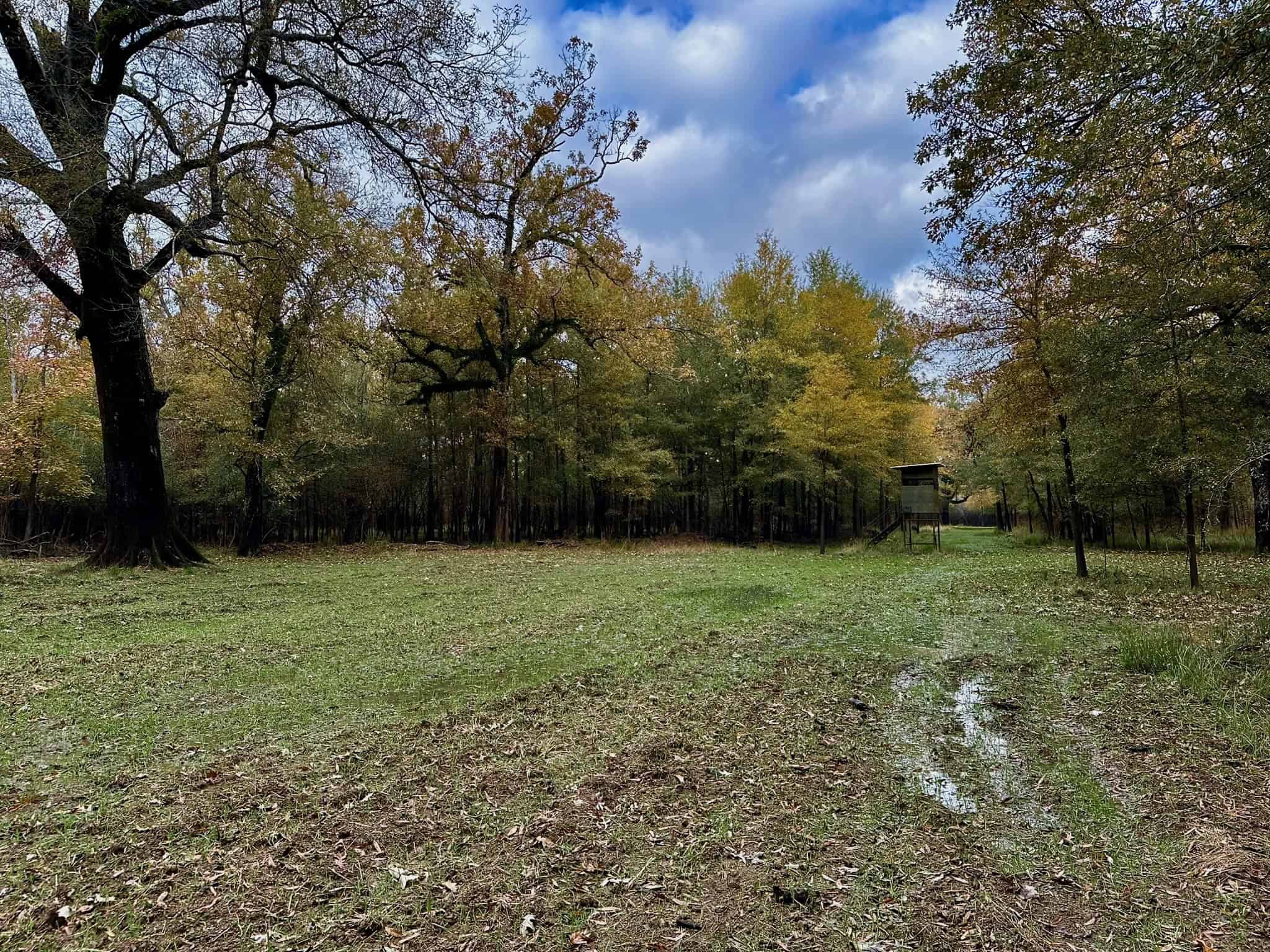 Duck and Deer Hunting Land for Sale with River Frontage
