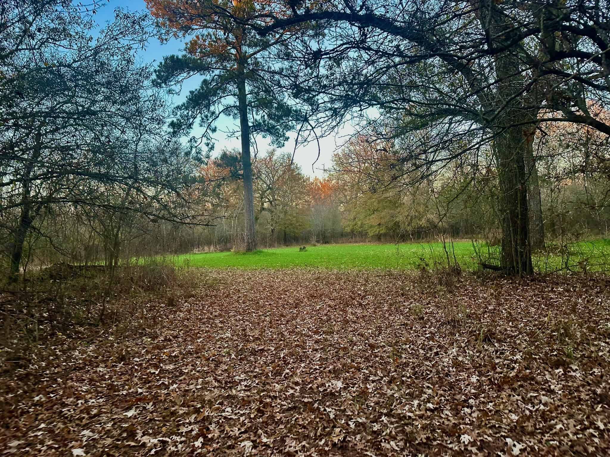 Duck and Deer Hunting Property for Sale in Grant Parish, LA