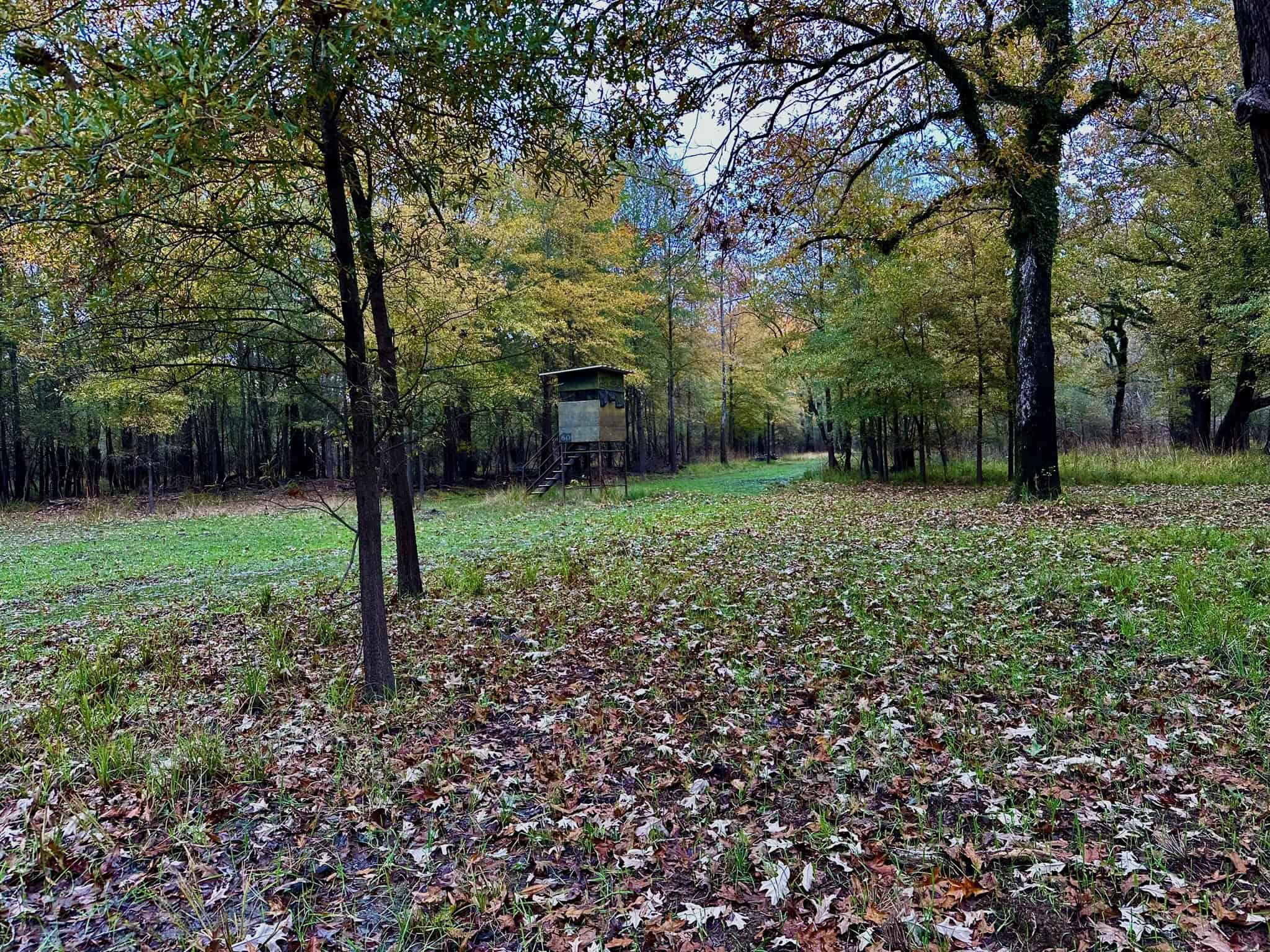 Duck and Deer Hunting Land for Sale with River Frontage