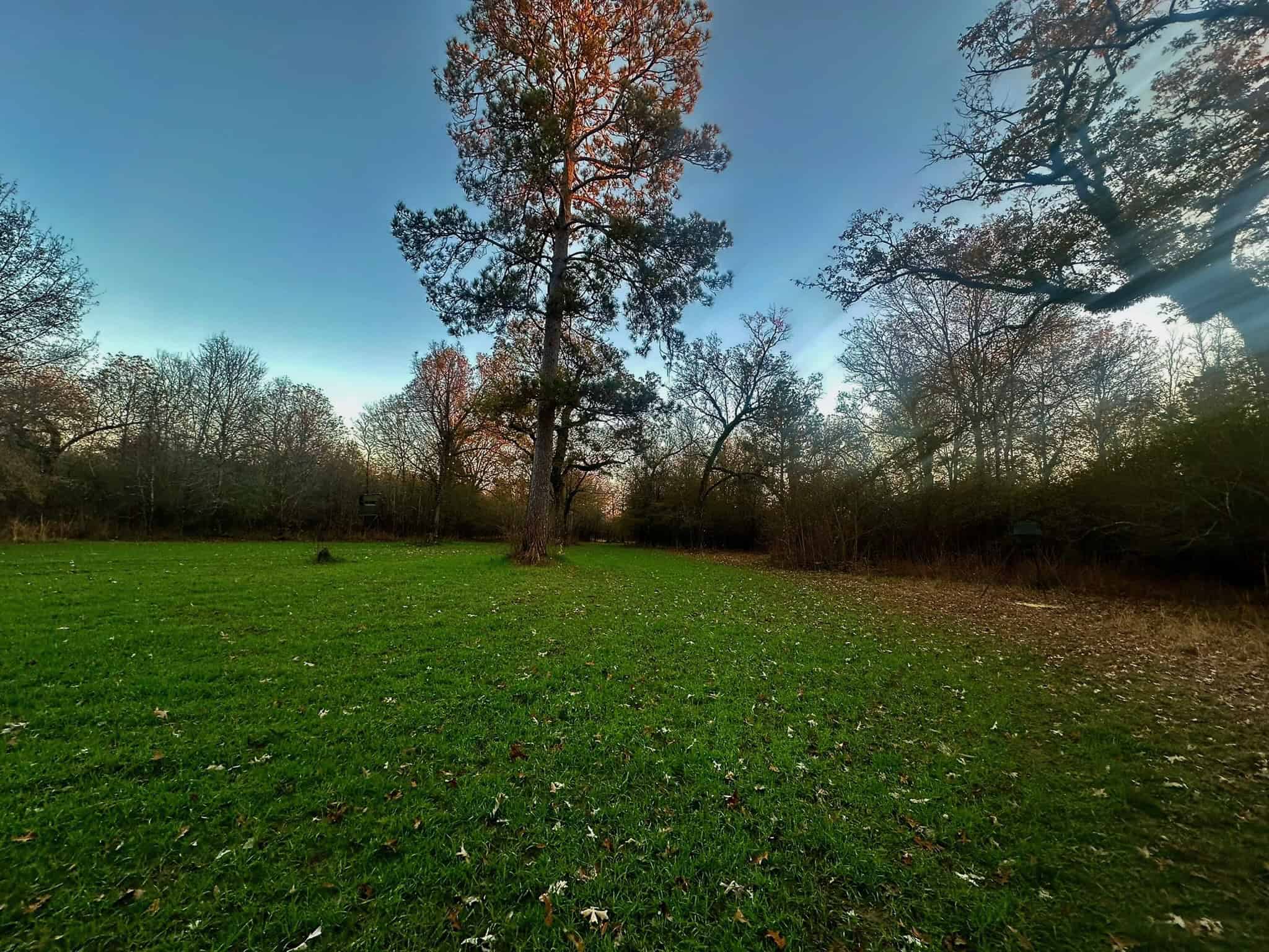 Duck and Deer Hunting Property for Sale in Grant Parish, LA