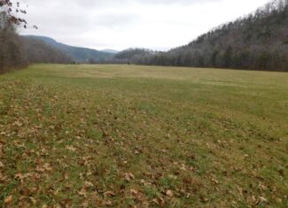 Creek Runs Through Farm Land/Deer Hunting Property in Newton County, Ar