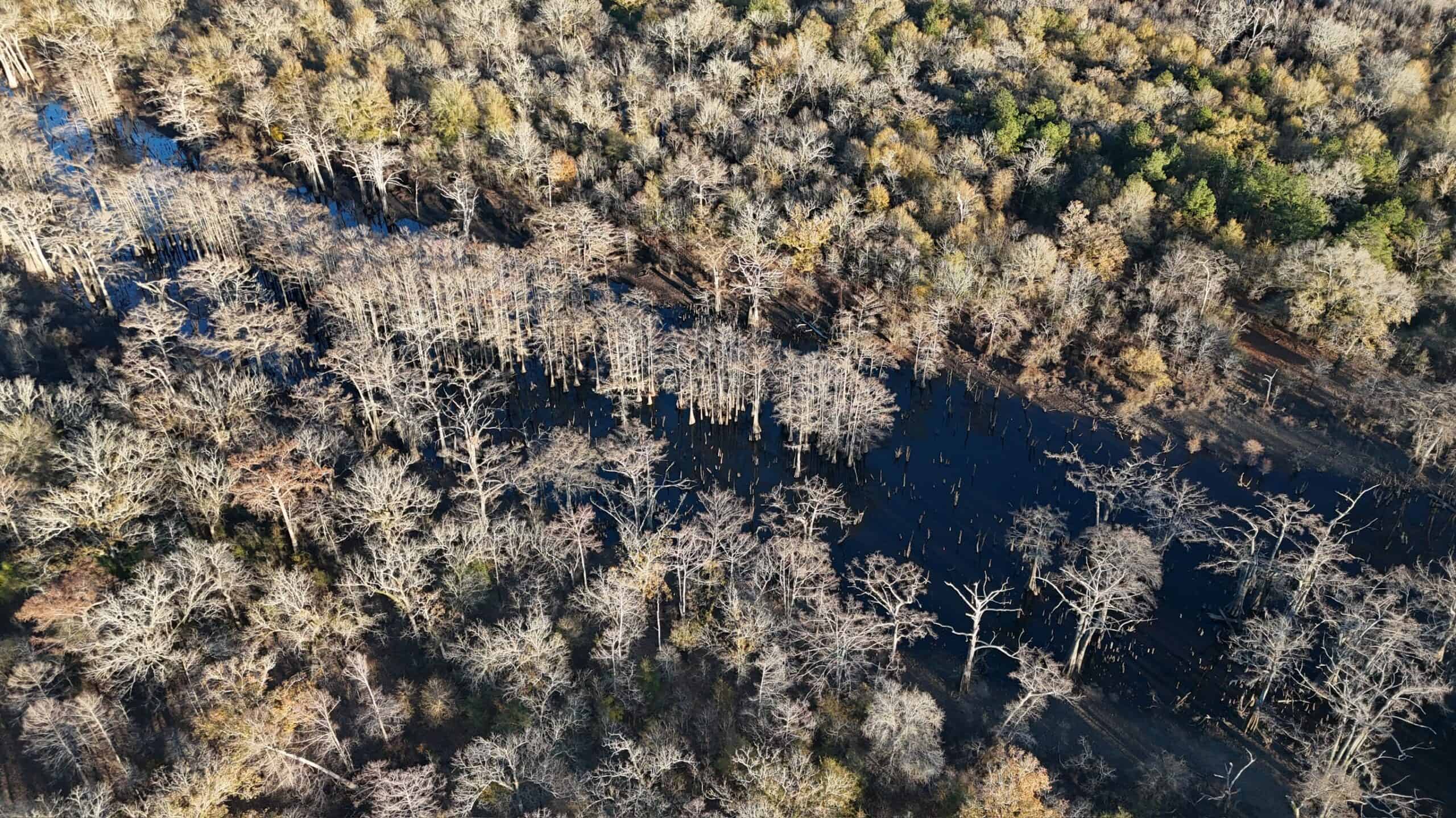 Duck and Deer Hunting Property for Sale in Grant Parish, LA
