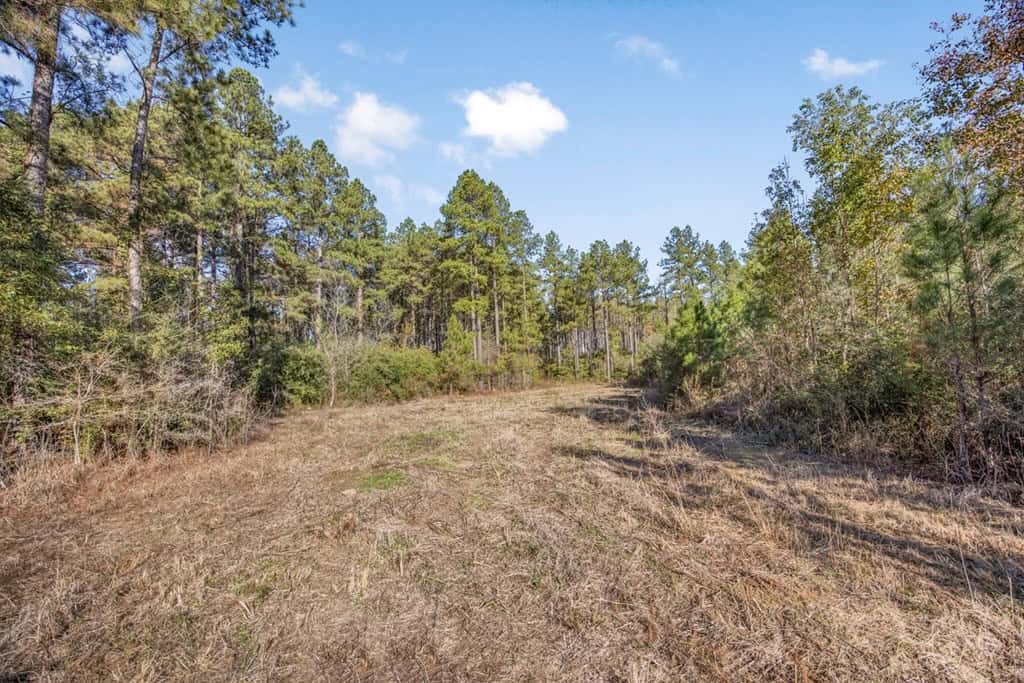 Land For Sale in Amite County, MS