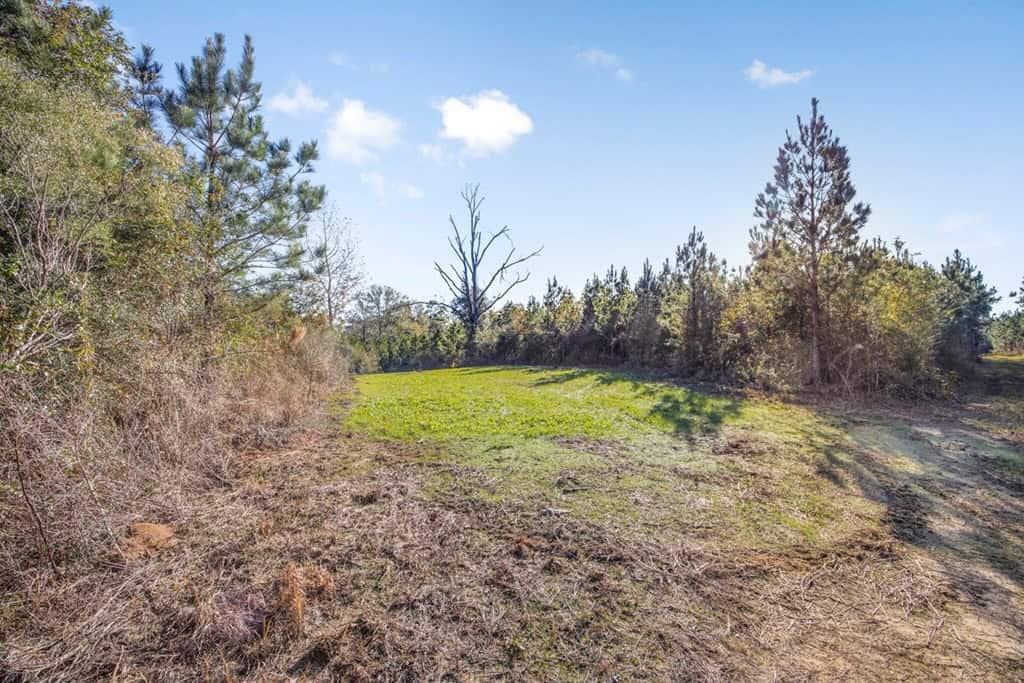 Land For Sale in Amite County, MS