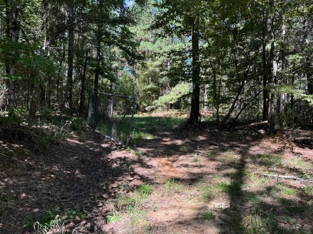 145 Acres Jefferson County Hunting Land Timber Investment