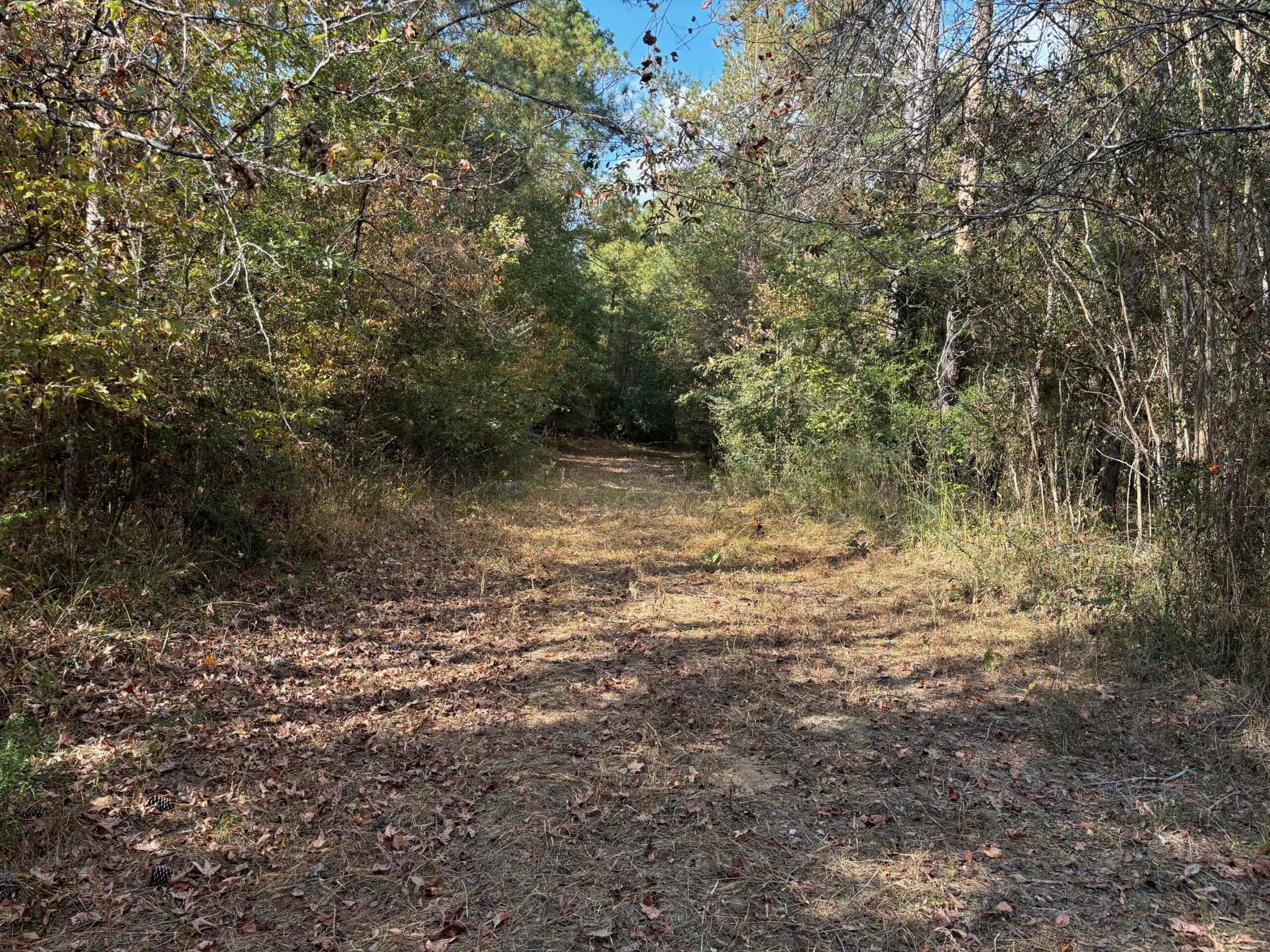42 Acres Franklin County Hunting Land Timber Investment