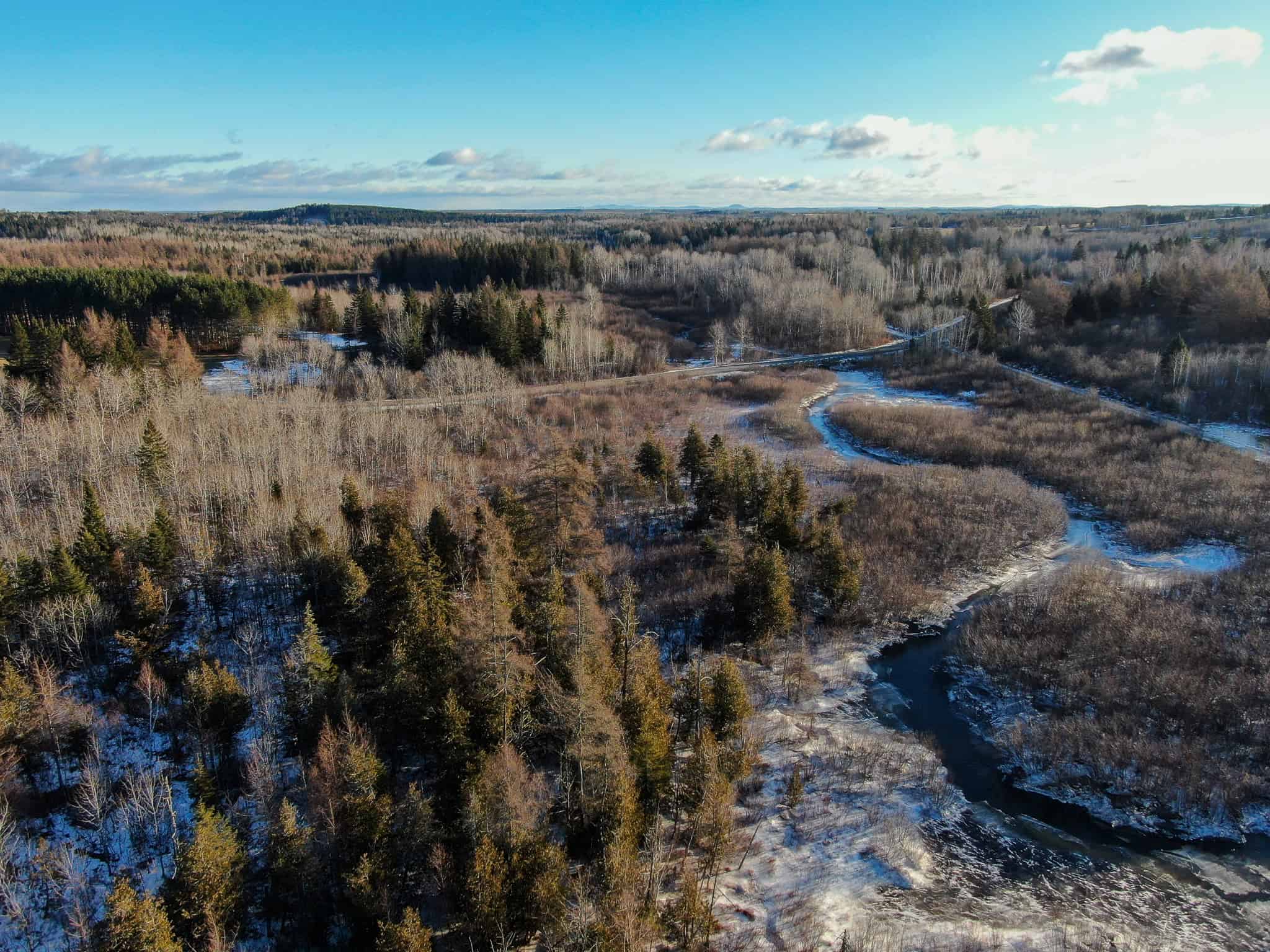 59 Acres in Northern Maine