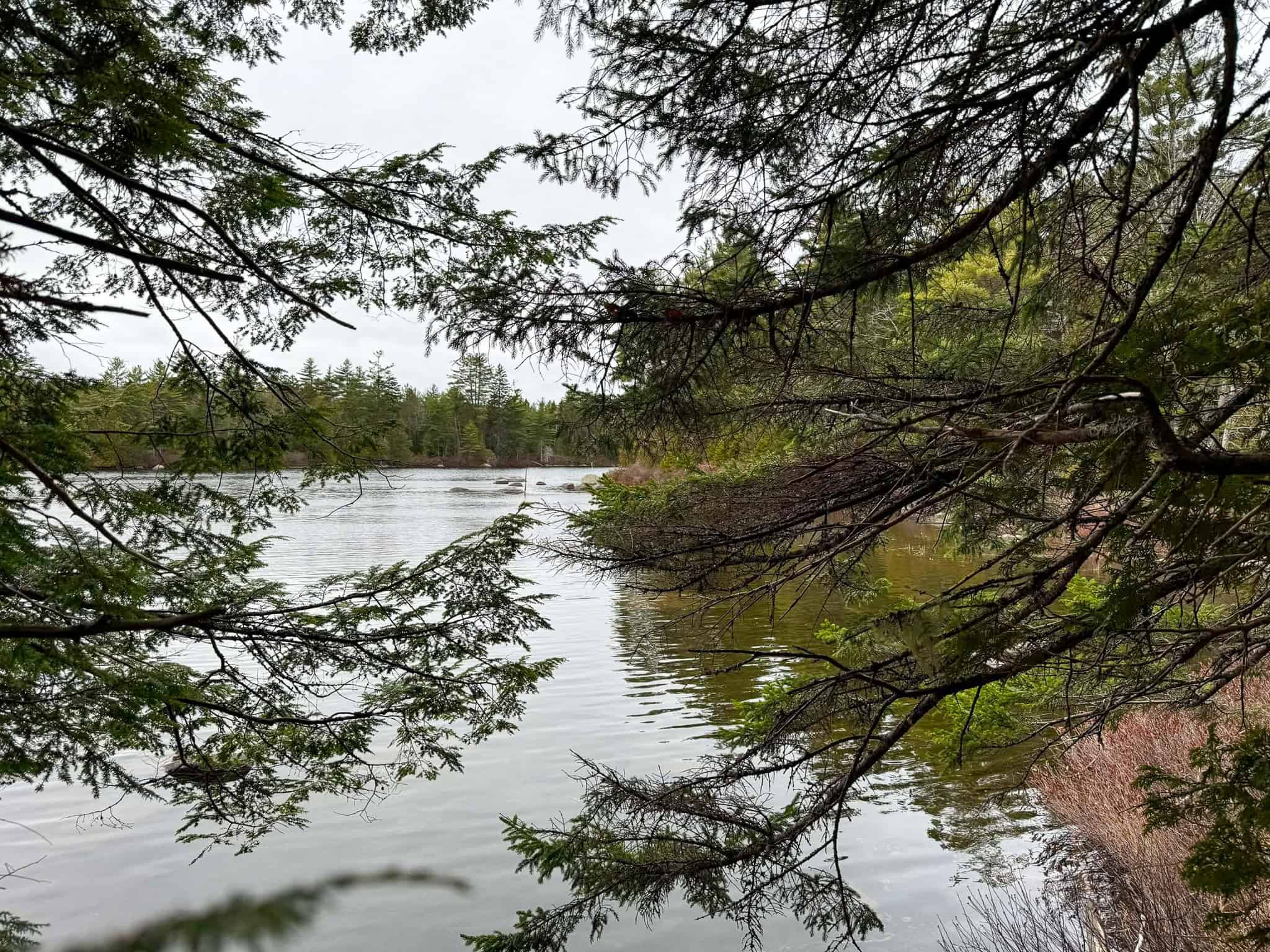 Lakefront Land with 41 Acres