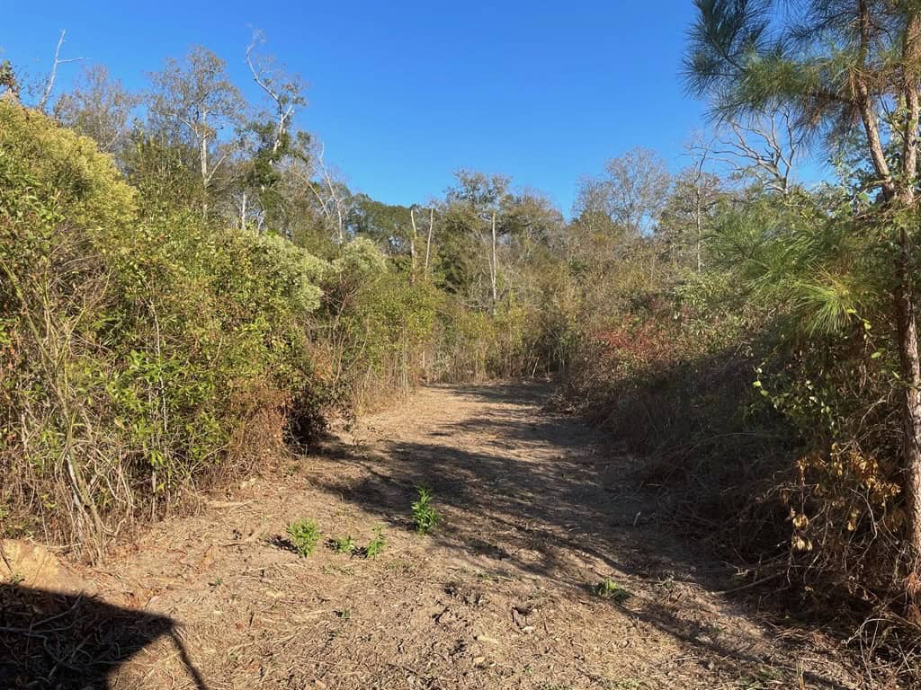 Amite River Hunting Tract For Sale