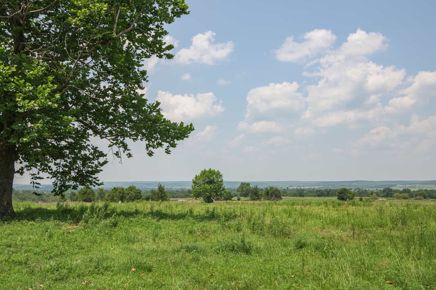 Premier Hunting & Cattle Ranch for Sale Near McAlester OK