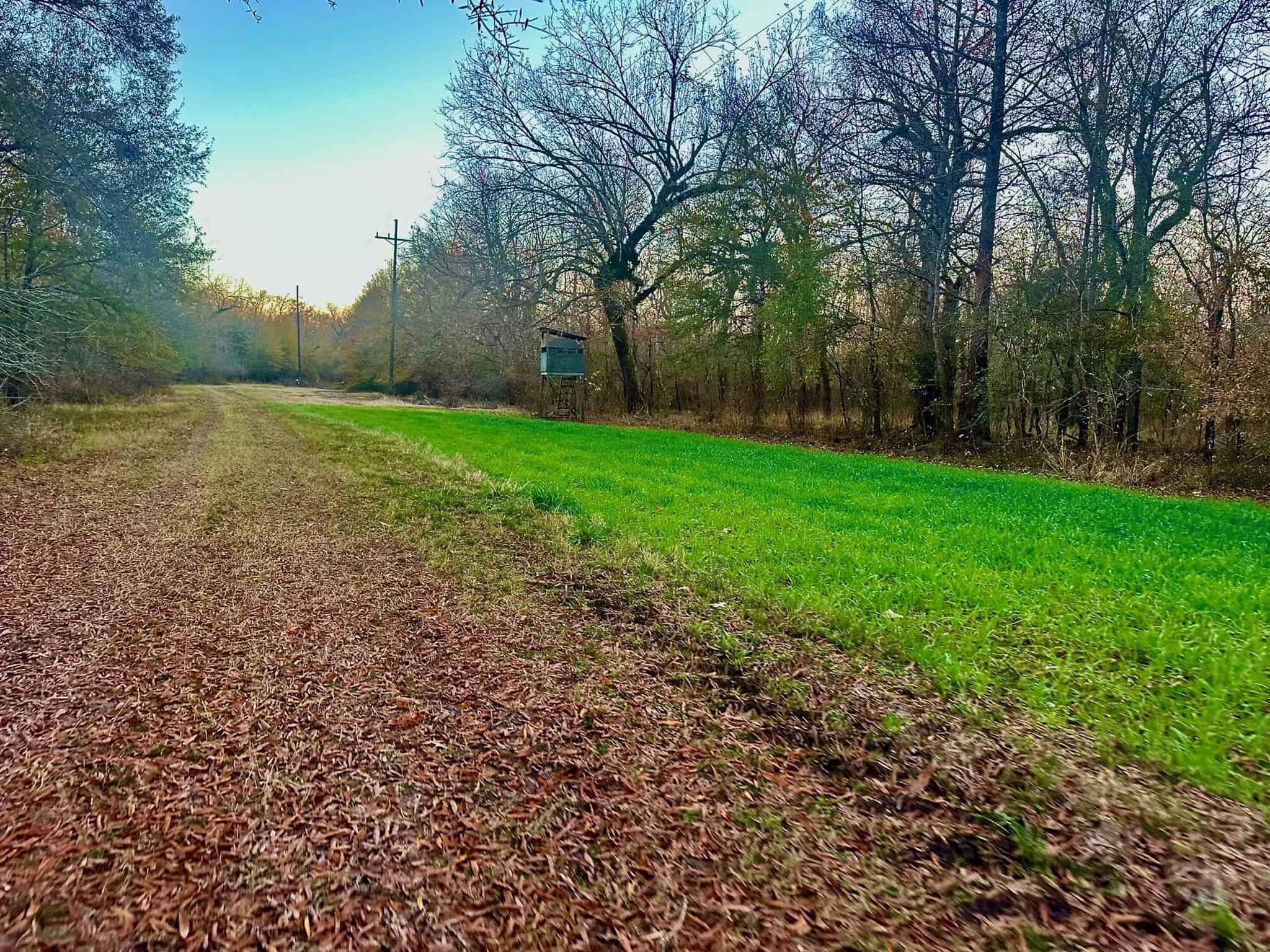 Duck and Deer Hunting Property for Sale in Grant Parish, LA