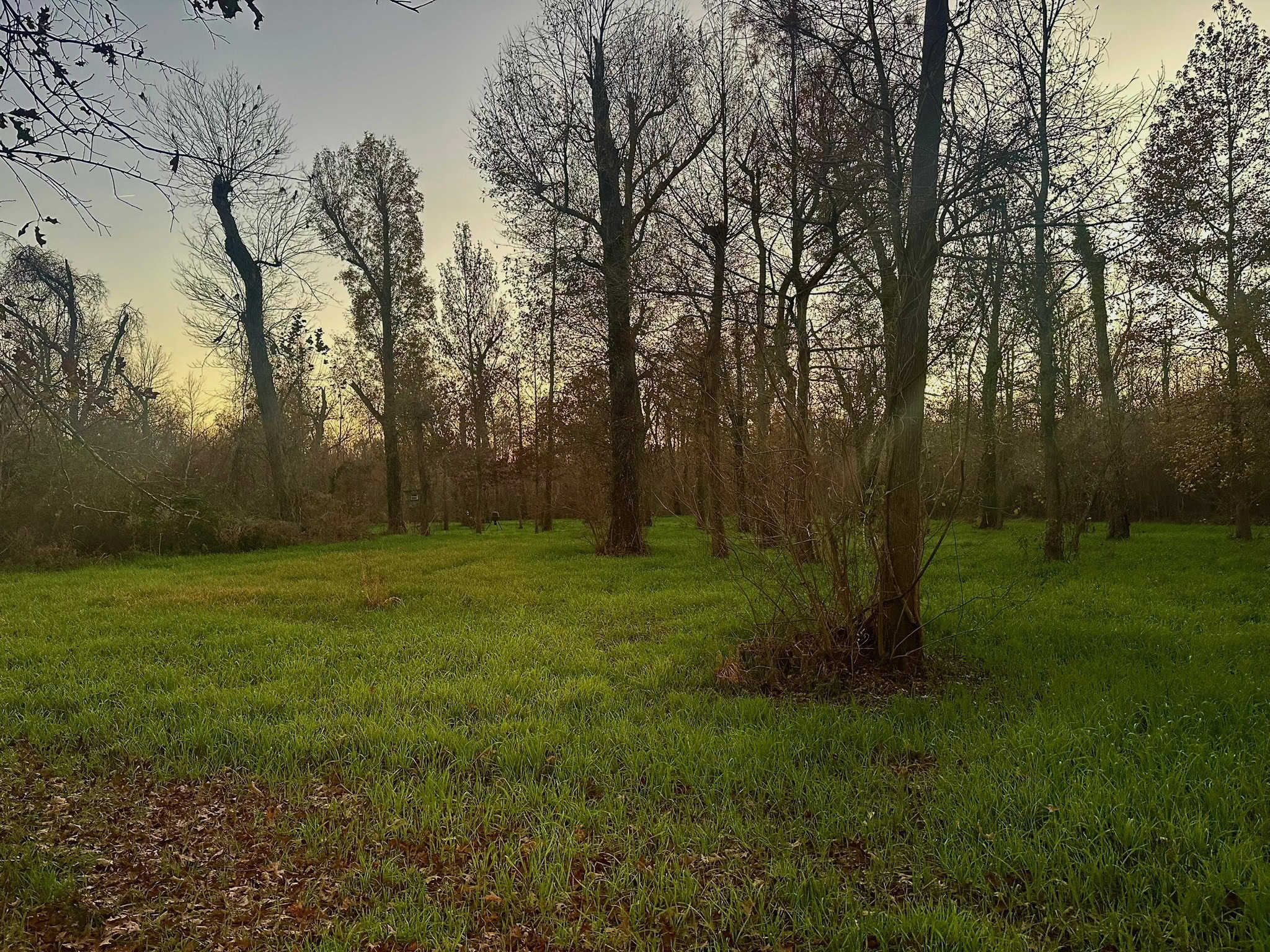Duck and Deer Hunting Property for Sale in Grant Parish, LA