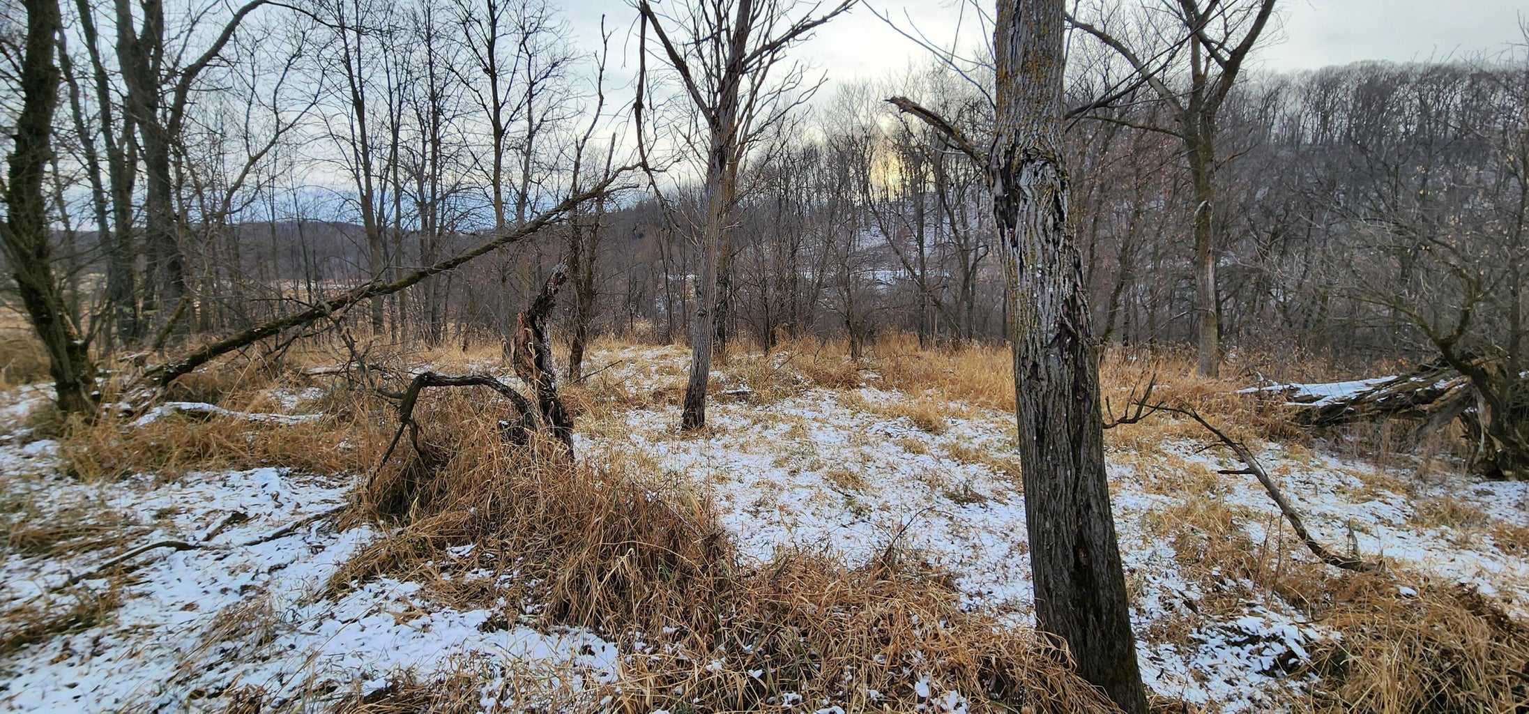 Land for sale with stream, crop ground, hunting, possible build site in WI