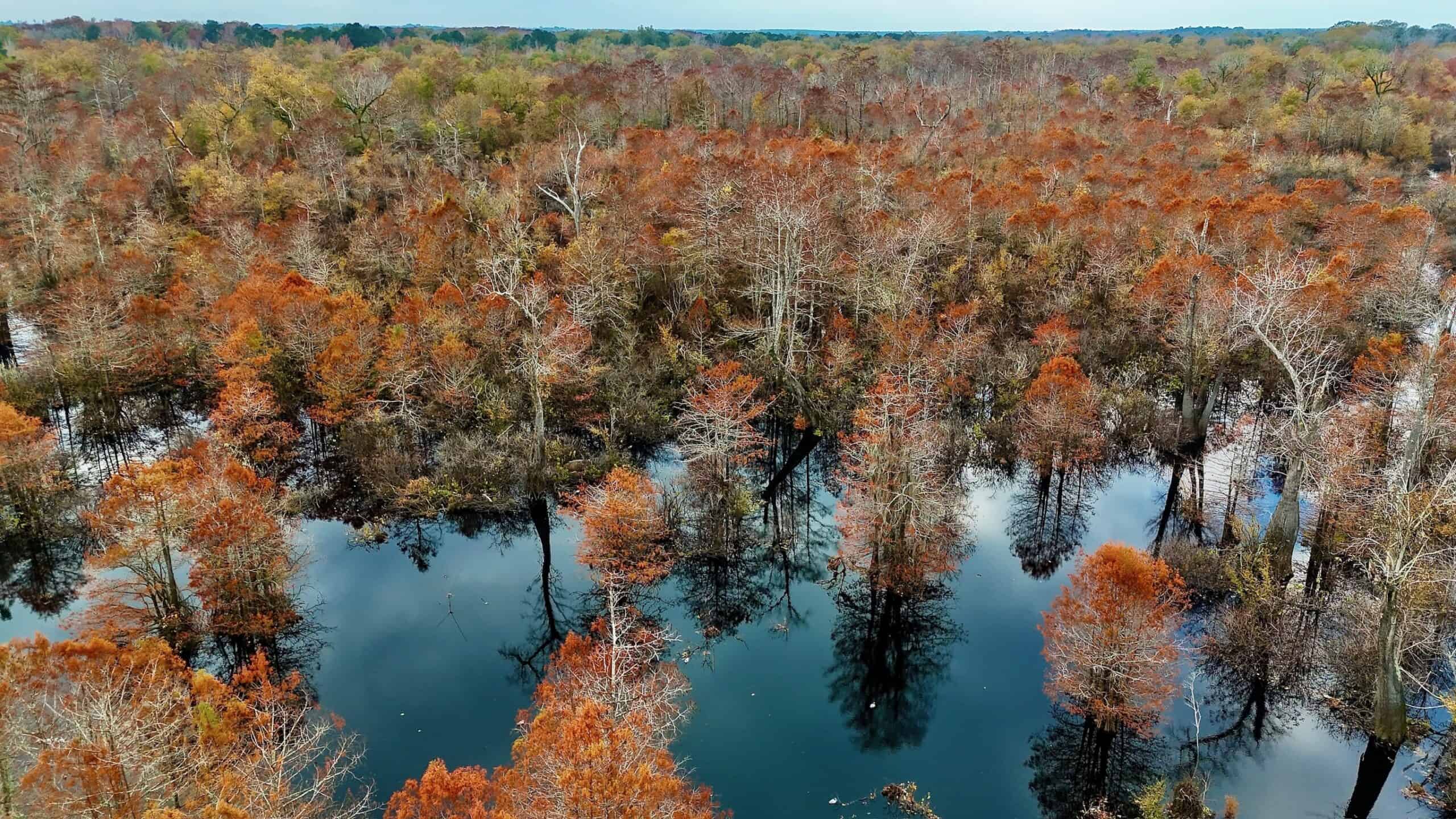 Duck and Deer Hunting Land for Sale with River Frontage
