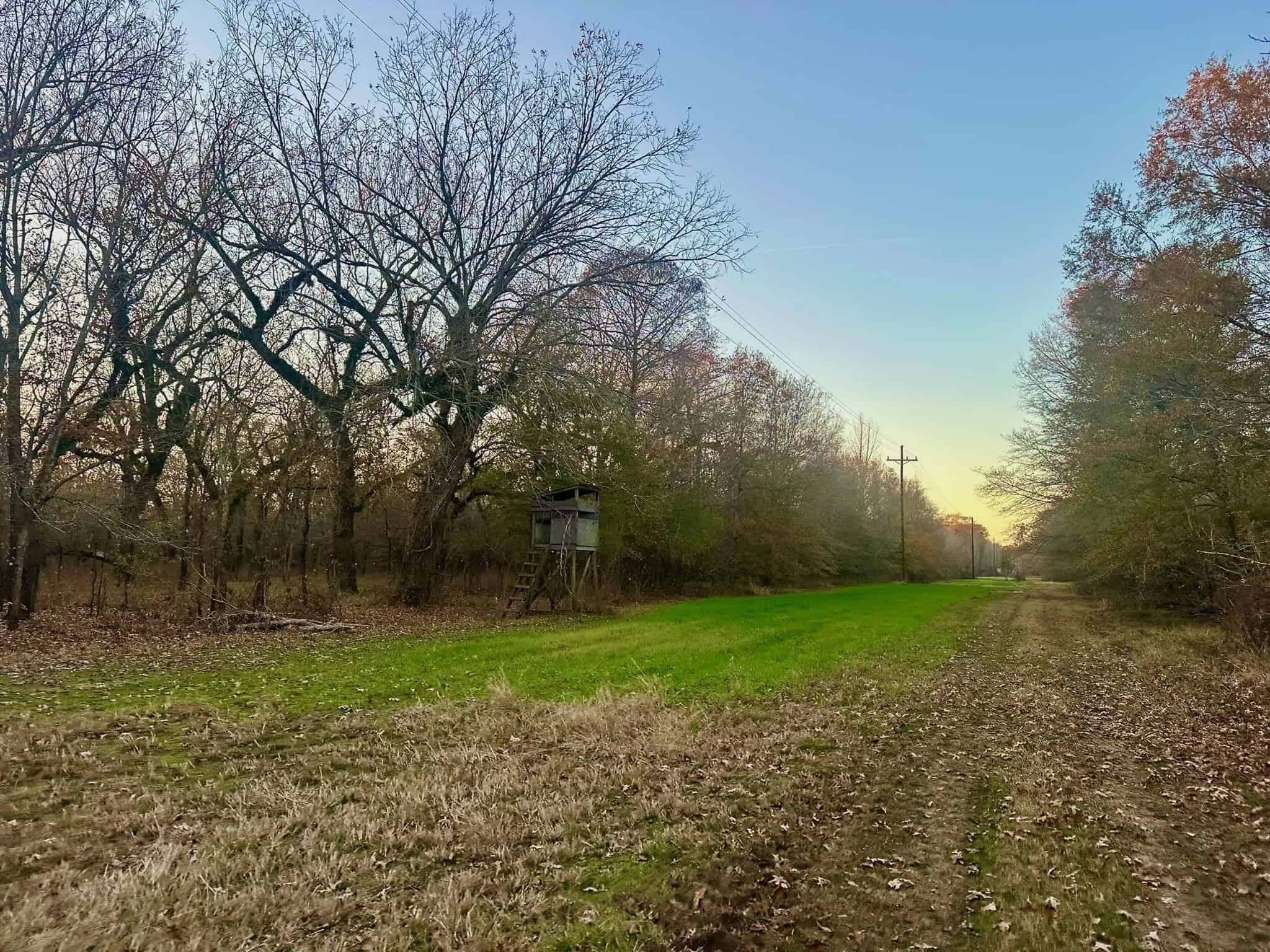 Duck and Deer Hunting Property for Sale in Grant Parish, LA