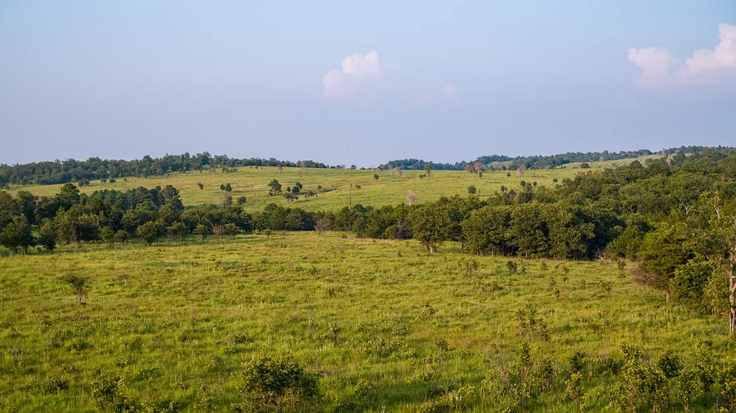 Premier Hunting & Cattle Ranch for Sale Near McAlester OK
