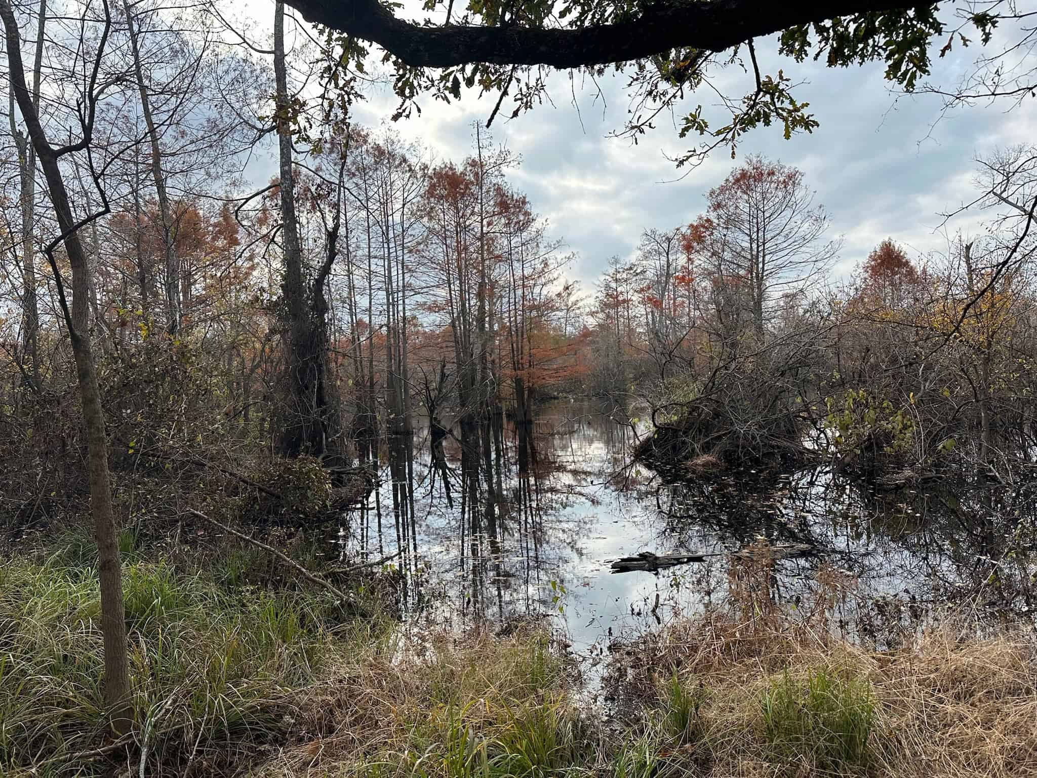 Duck and Deer Hunting Land for Sale with River Frontage