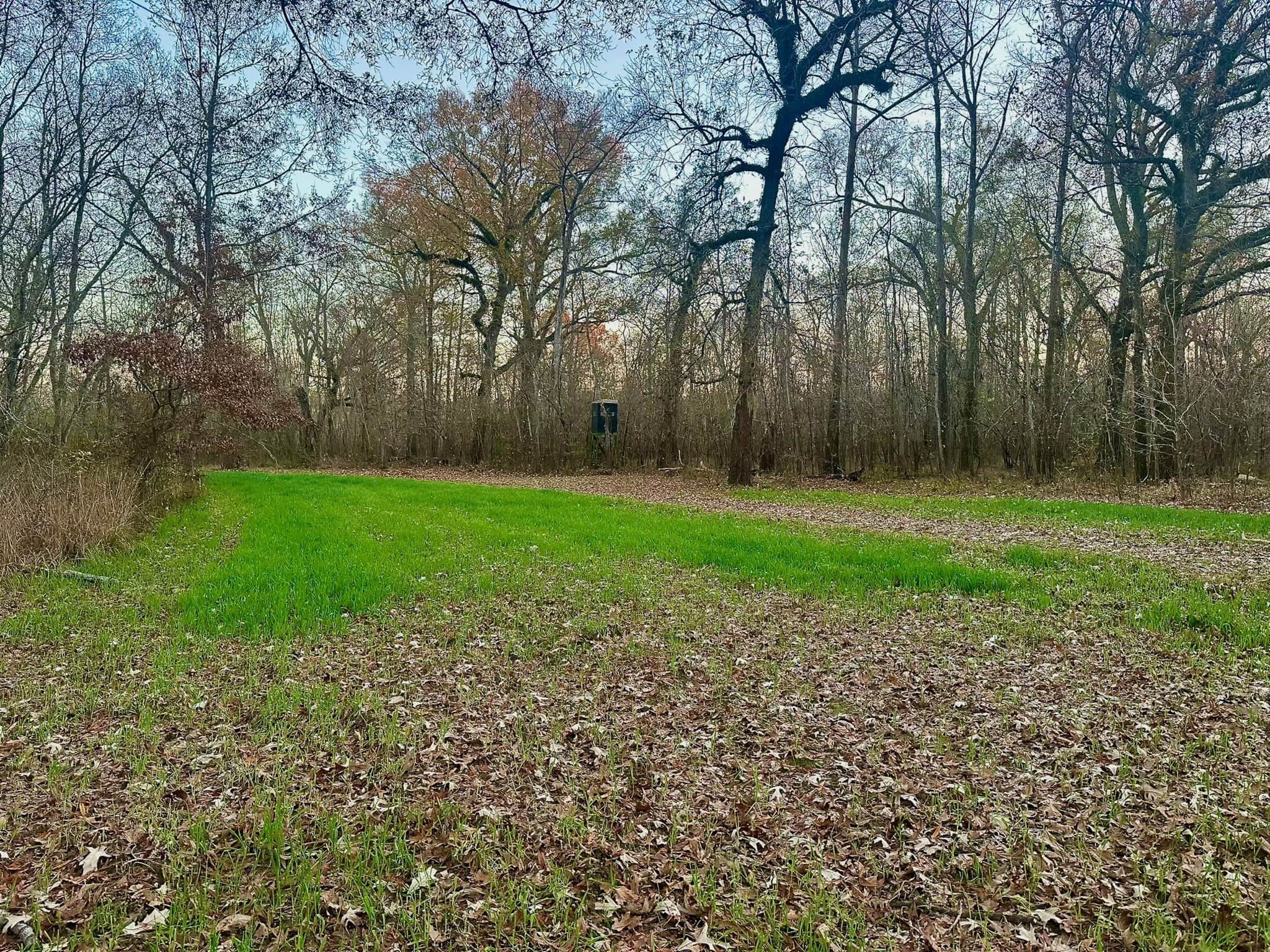 Duck and Deer Hunting Property for Sale in Grant Parish, LA