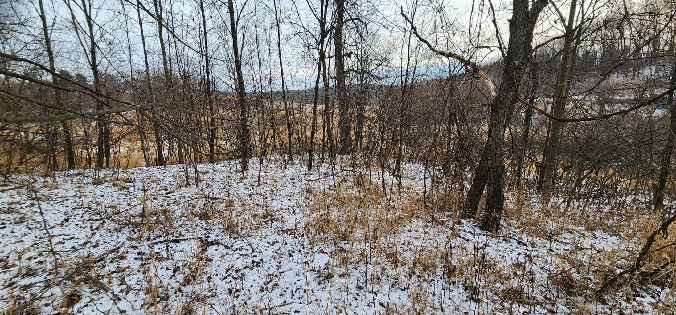 Land for sale with stream, crop ground, hunting, possible build site in WI