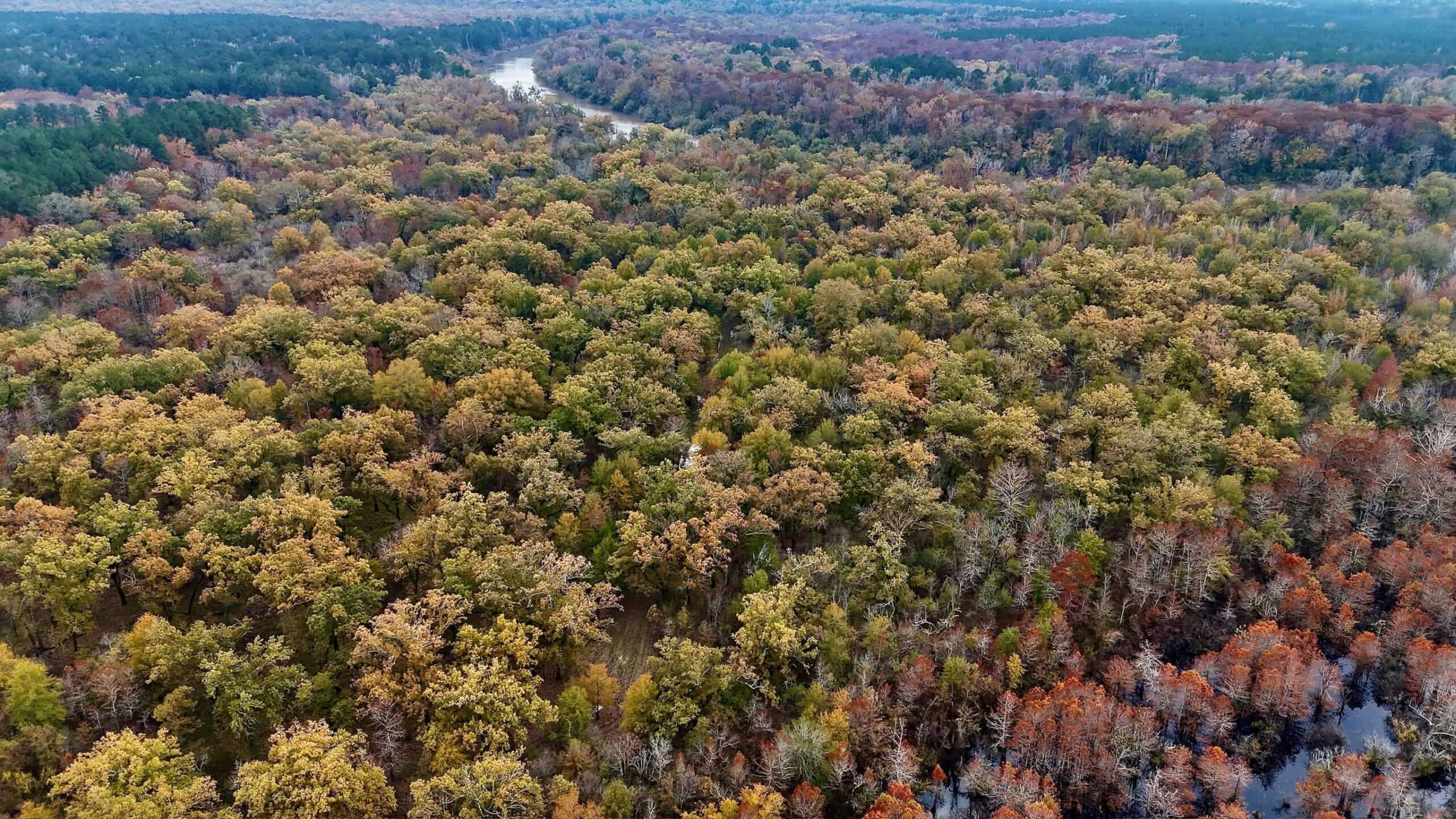 Duck and Deer Hunting Land for Sale with River Frontage