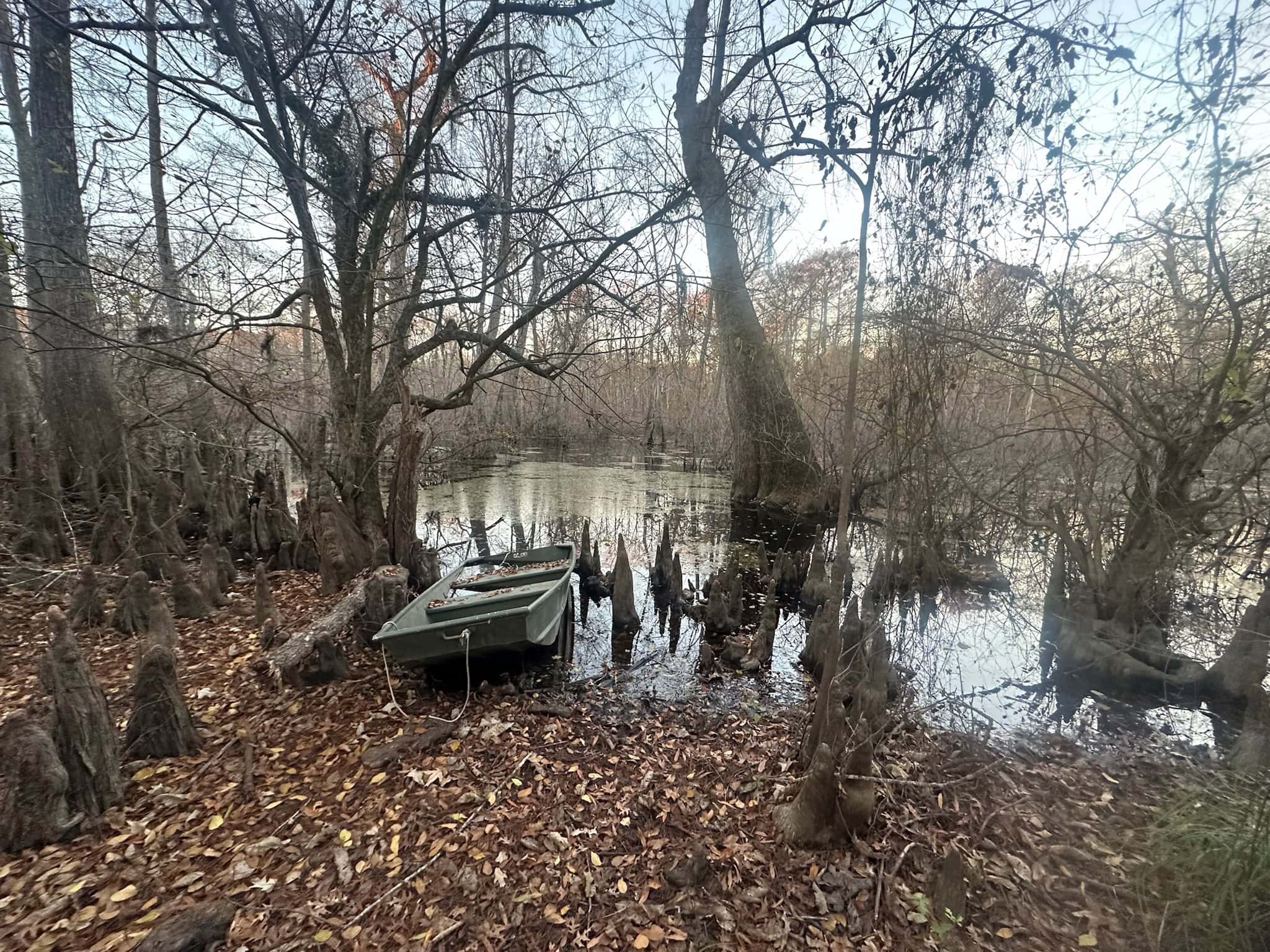 Duck and Deer Hunting Property for Sale in Grant Parish, LA