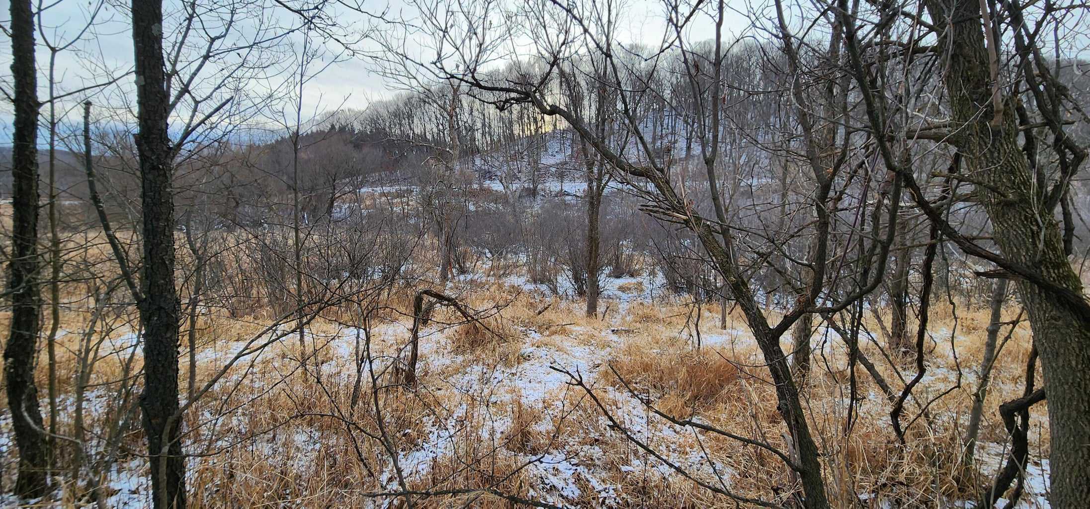Land for sale with stream, crop ground, hunting, possible build site in WI