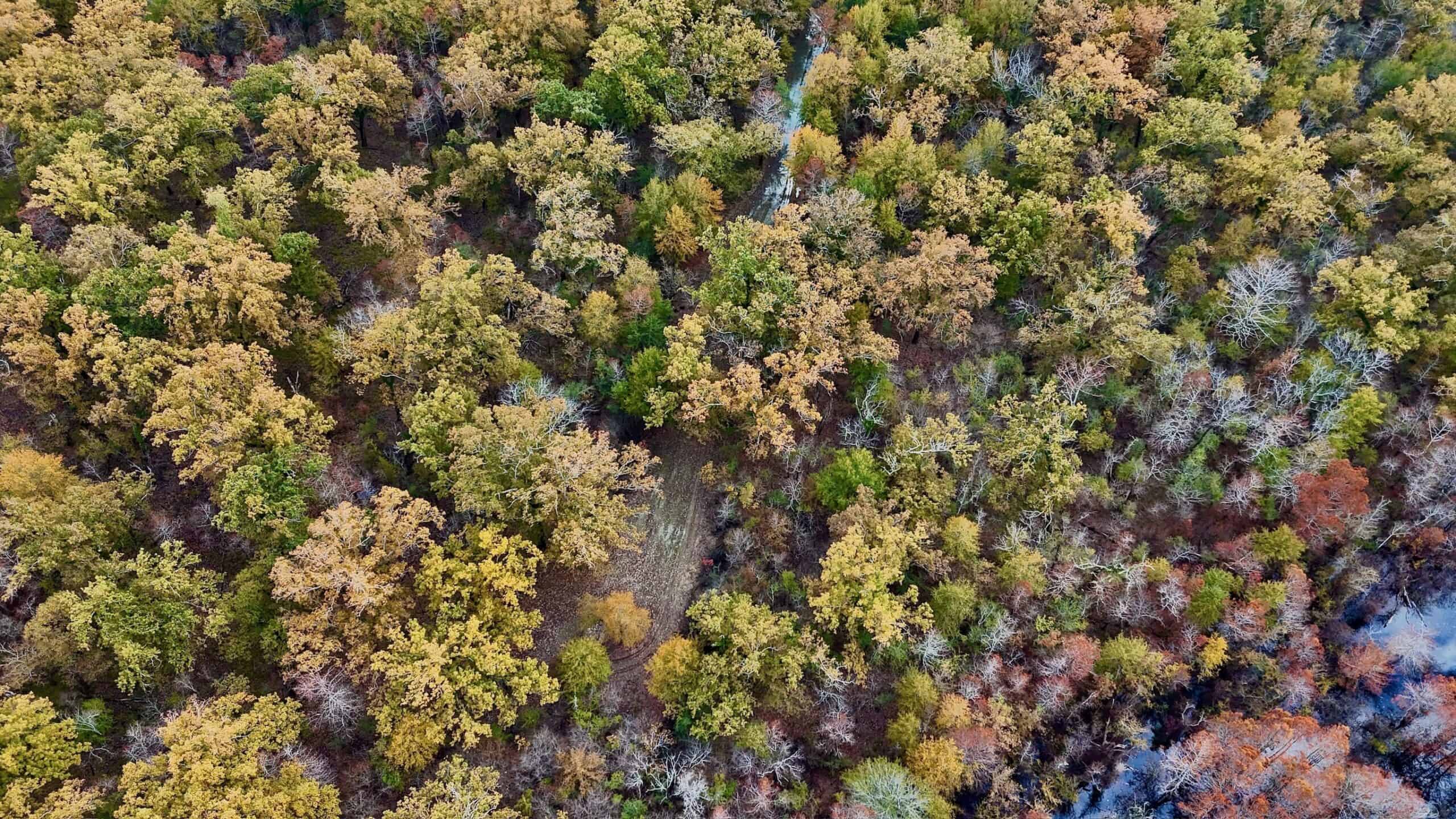 Duck and Deer Hunting Land for Sale with River Frontage