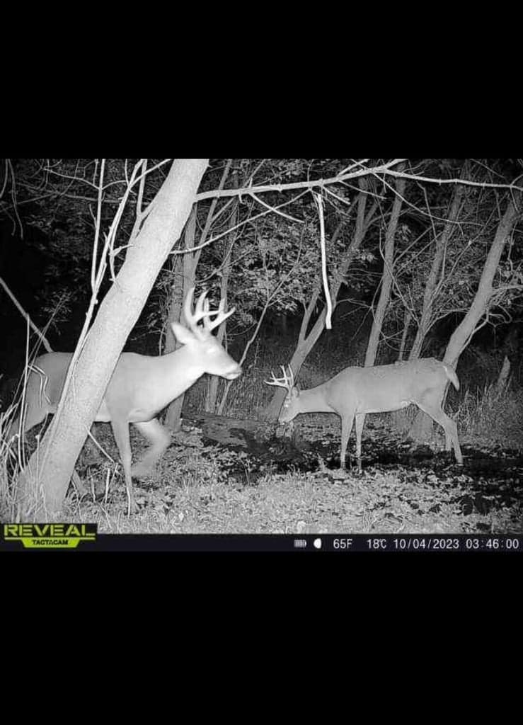 Land for sale with stream, crop ground, hunting, possible build site in WI