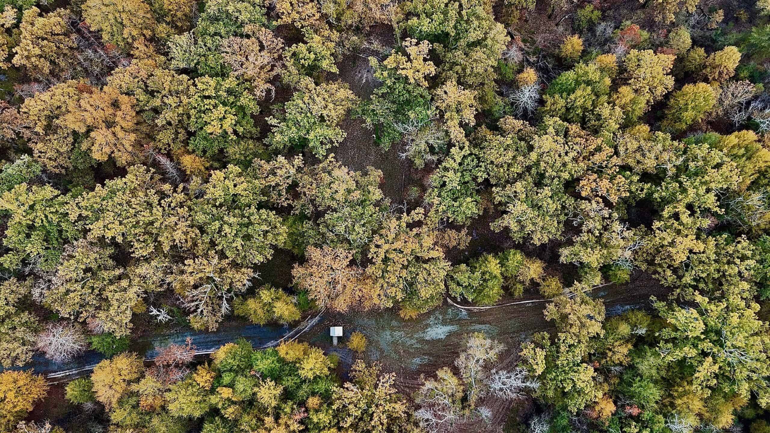 Duck and Deer Hunting Land for Sale with River Frontage
