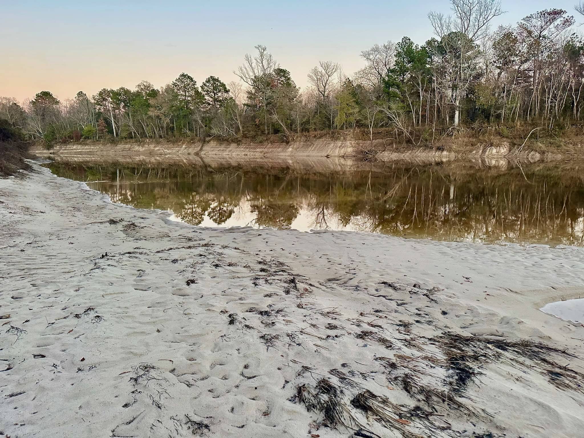 Duck and Deer Hunting Property for Sale in Grant Parish, LA