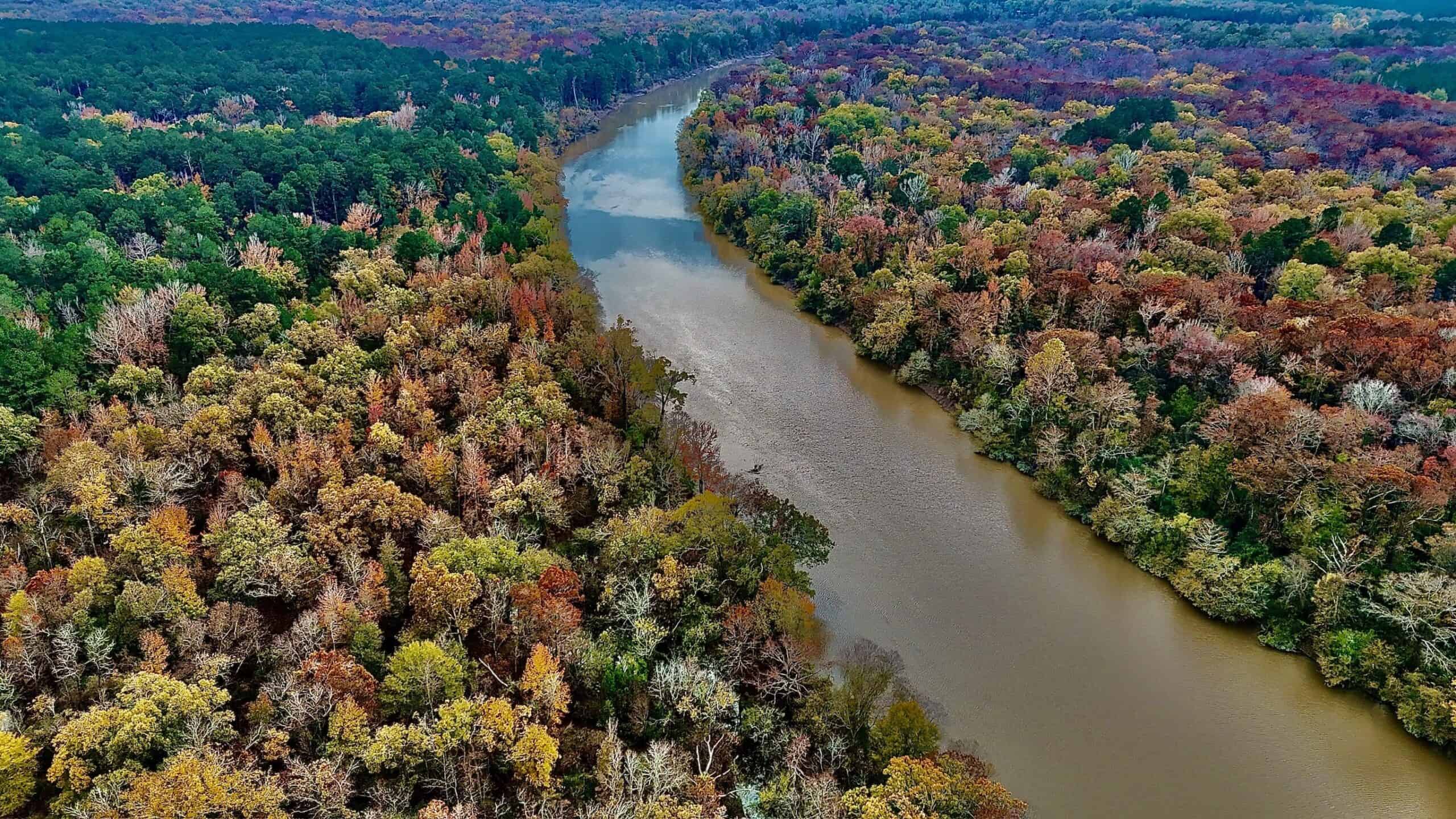Duck and Deer Hunting Land for Sale with River Frontage