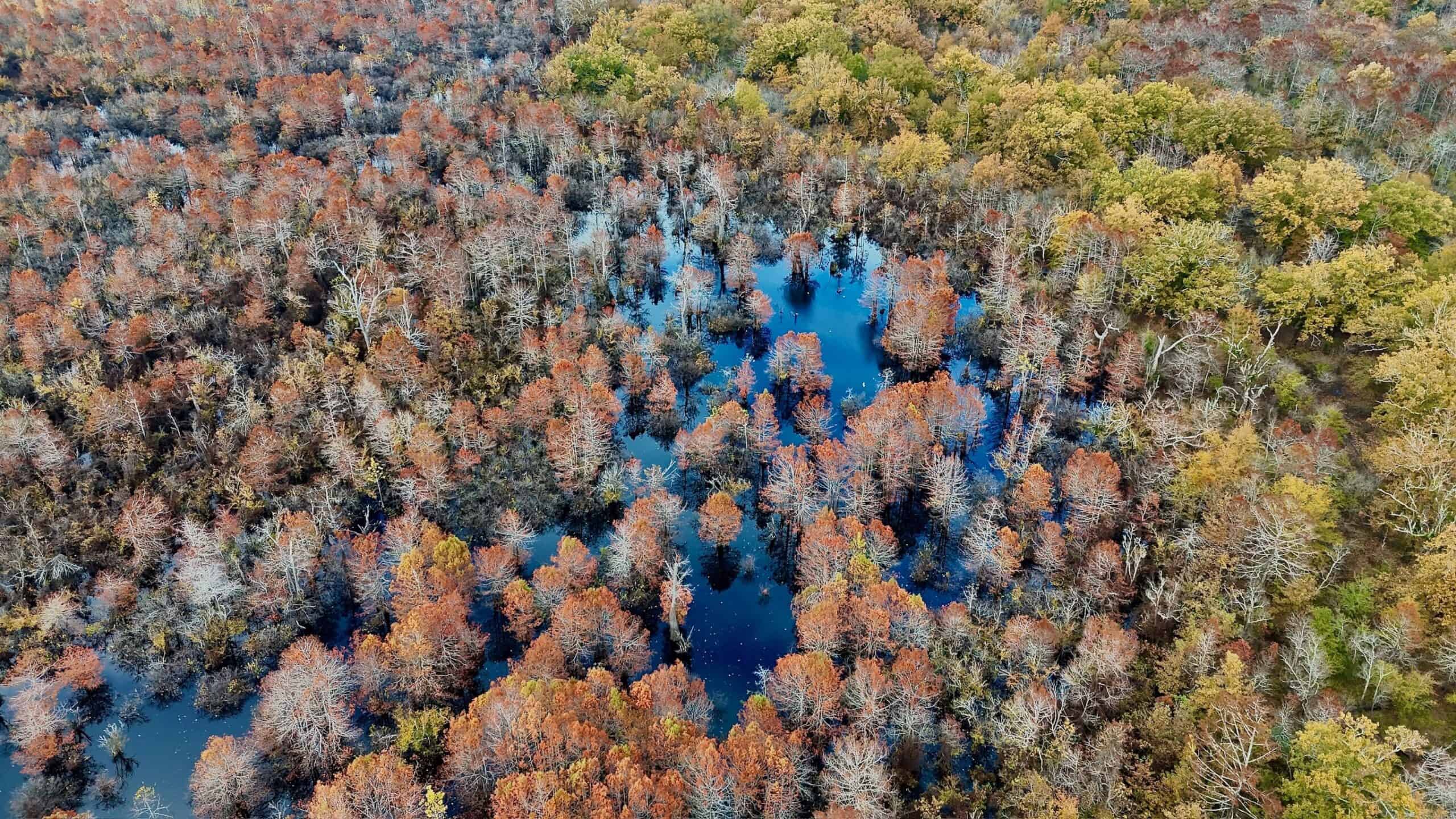 Duck and Deer Hunting Land for Sale with River Frontage