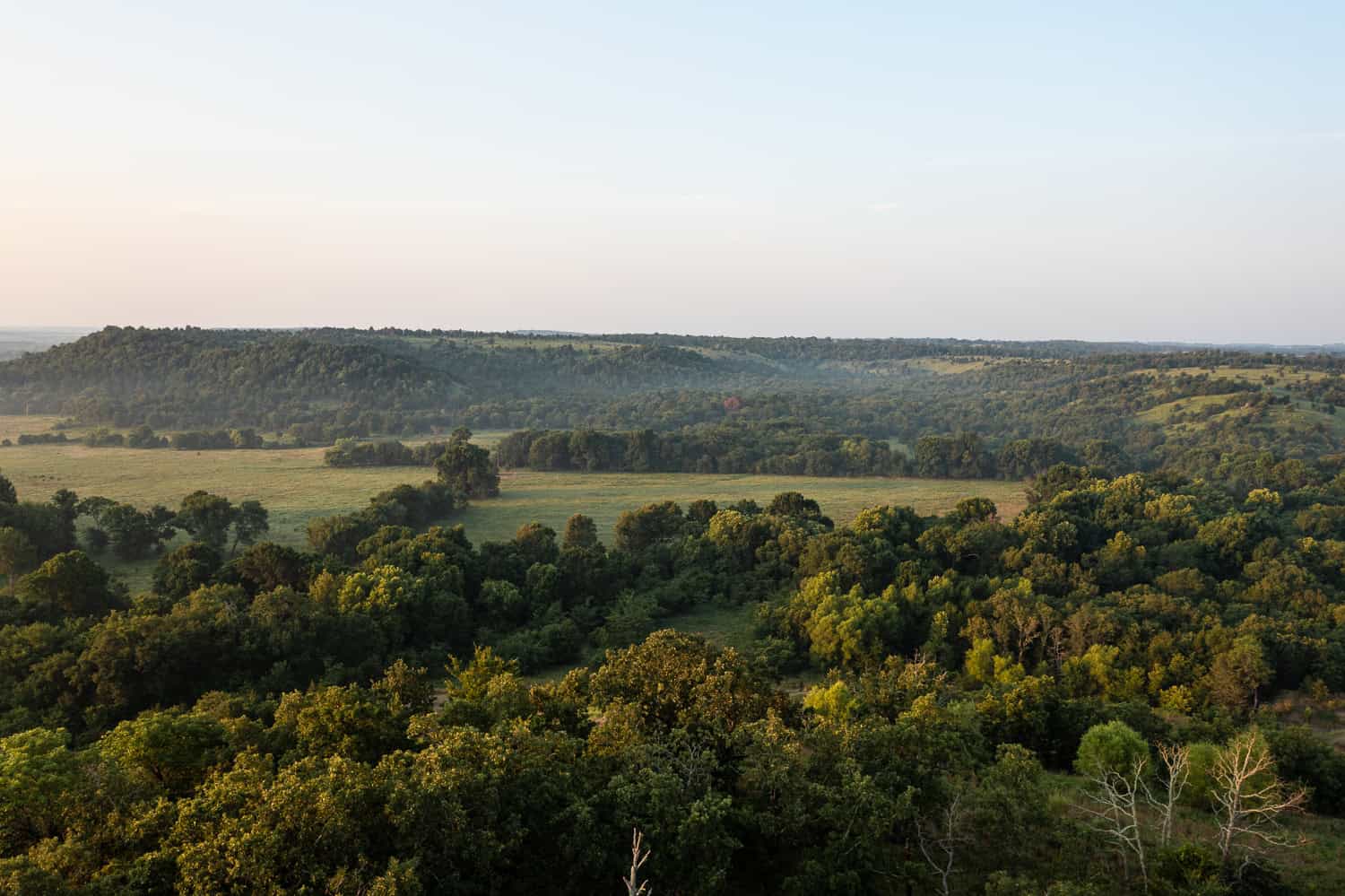 Premier Hunting & Cattle Ranch for Sale Near McAlester OK