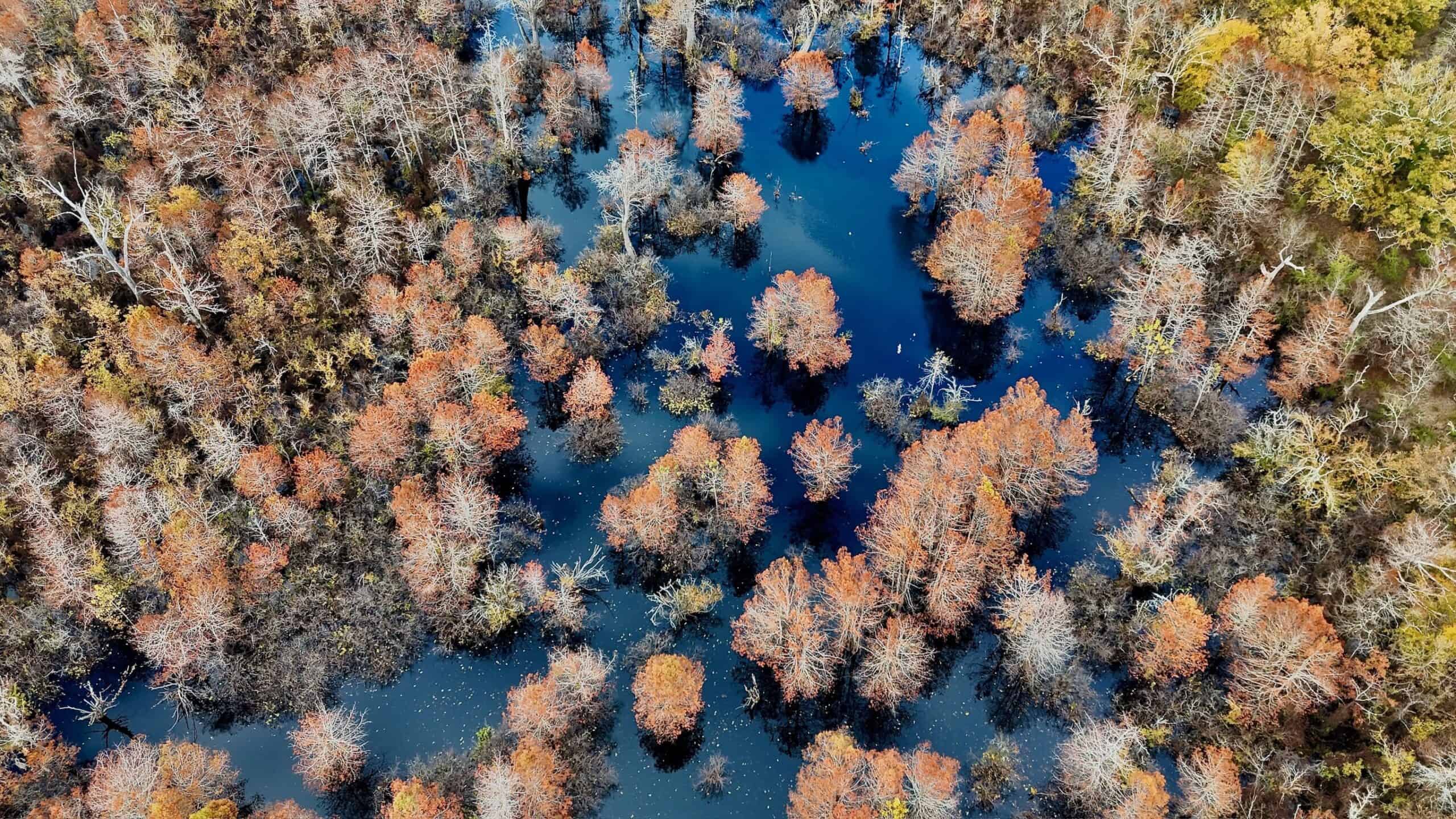 Duck and Deer Hunting Land for Sale with River Frontage