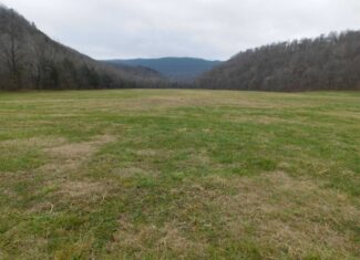Creek Runs Through Farm Land/Deer Hunting Property in Newton County, Ar