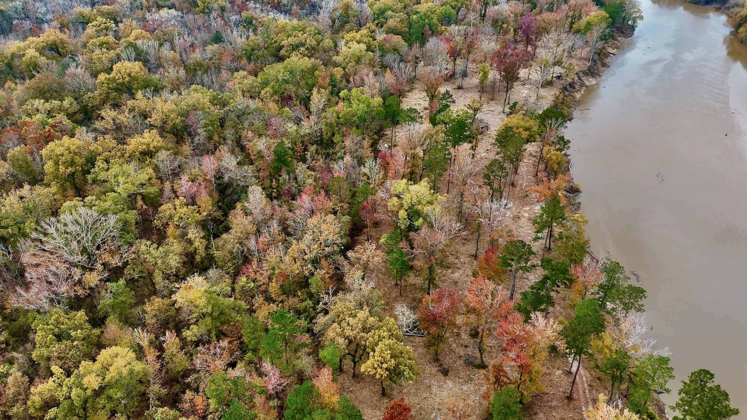 Duck and Deer Hunting Land for Sale with River Frontage