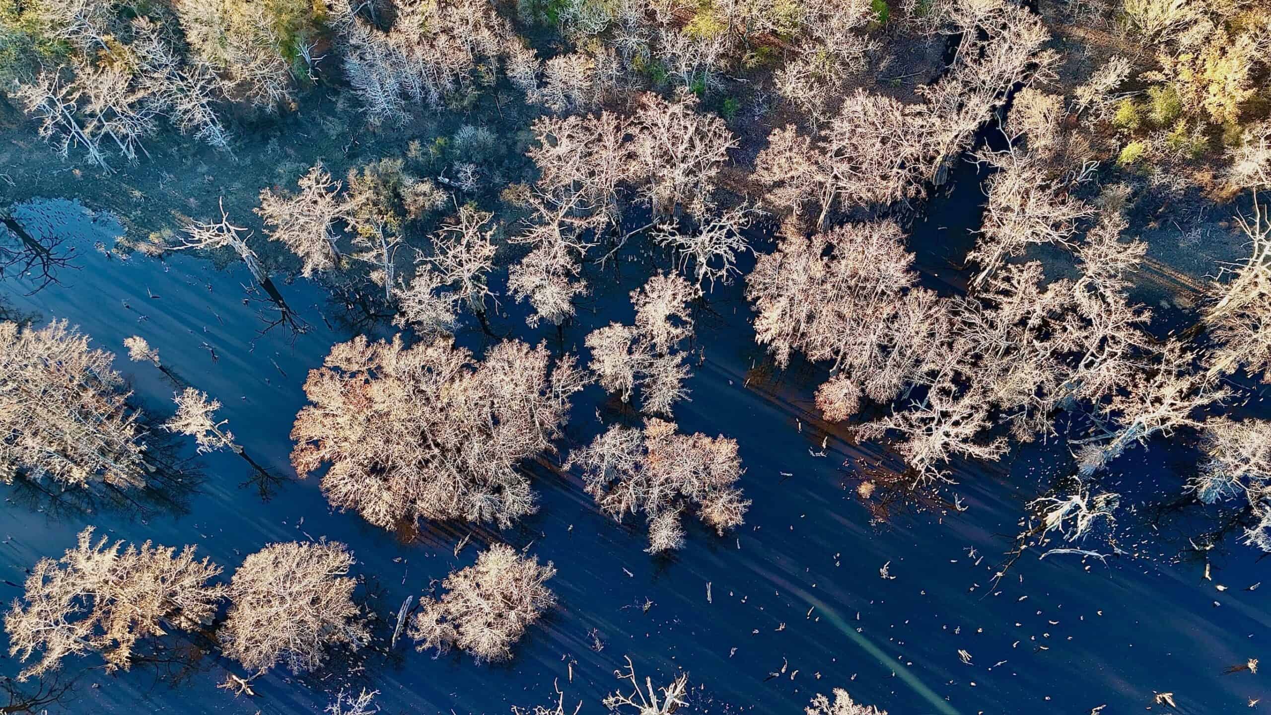 Duck and Deer Hunting Property for Sale in Grant Parish, LA