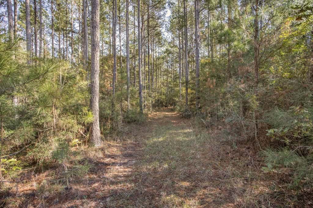 Land For Sale in Amite County, MS