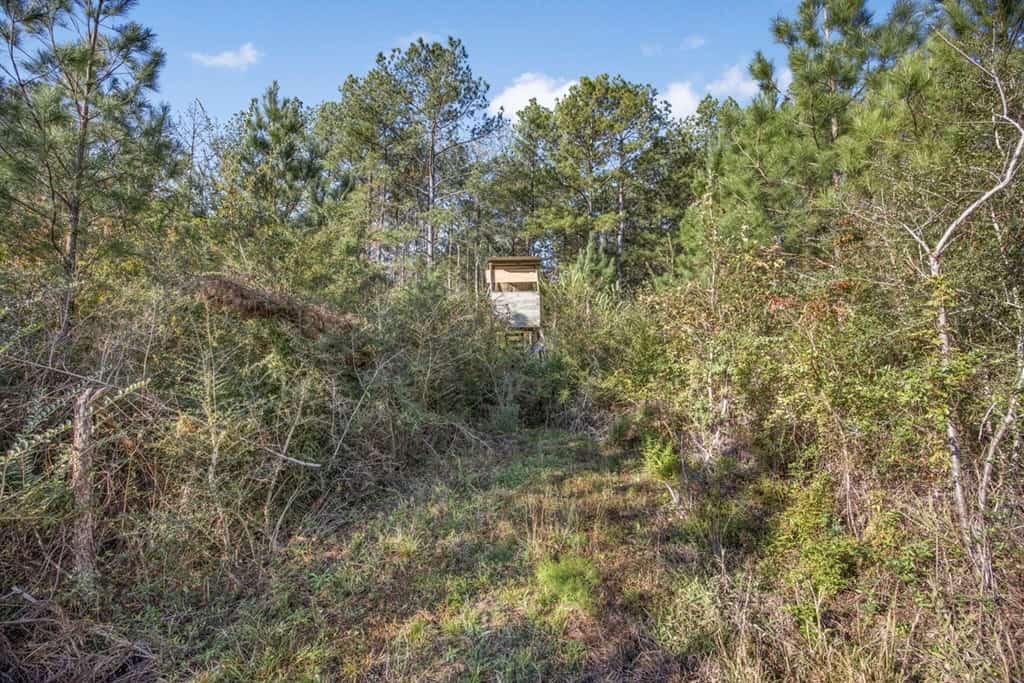 Land For Sale in Amite County, MS