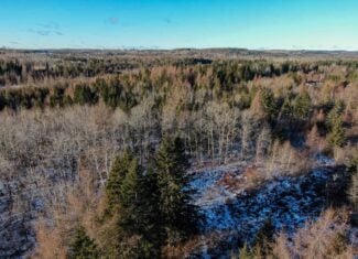 59 Acres in Northern Maine