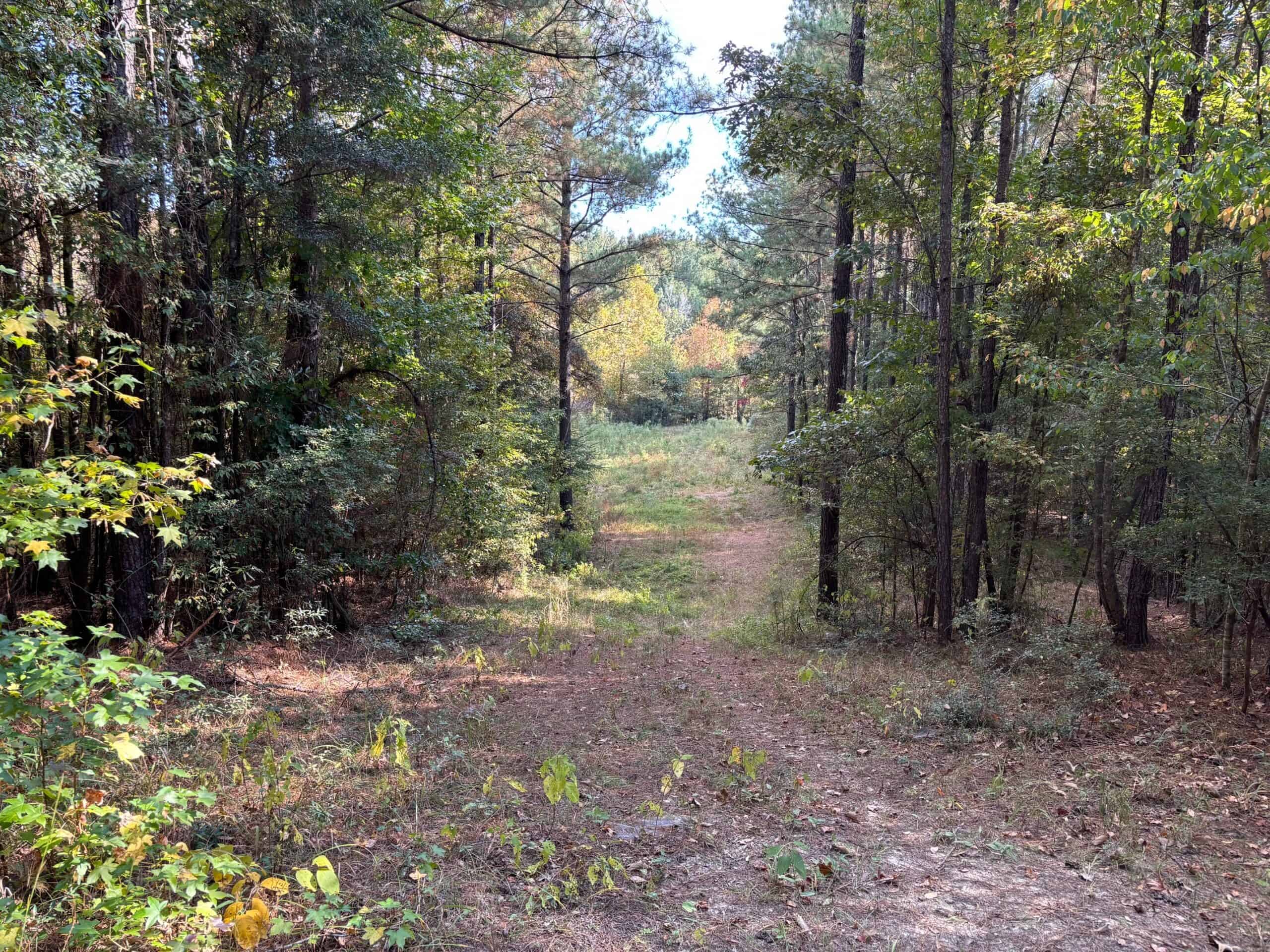 42 Acres Franklin County Hunting Land Timber Investment