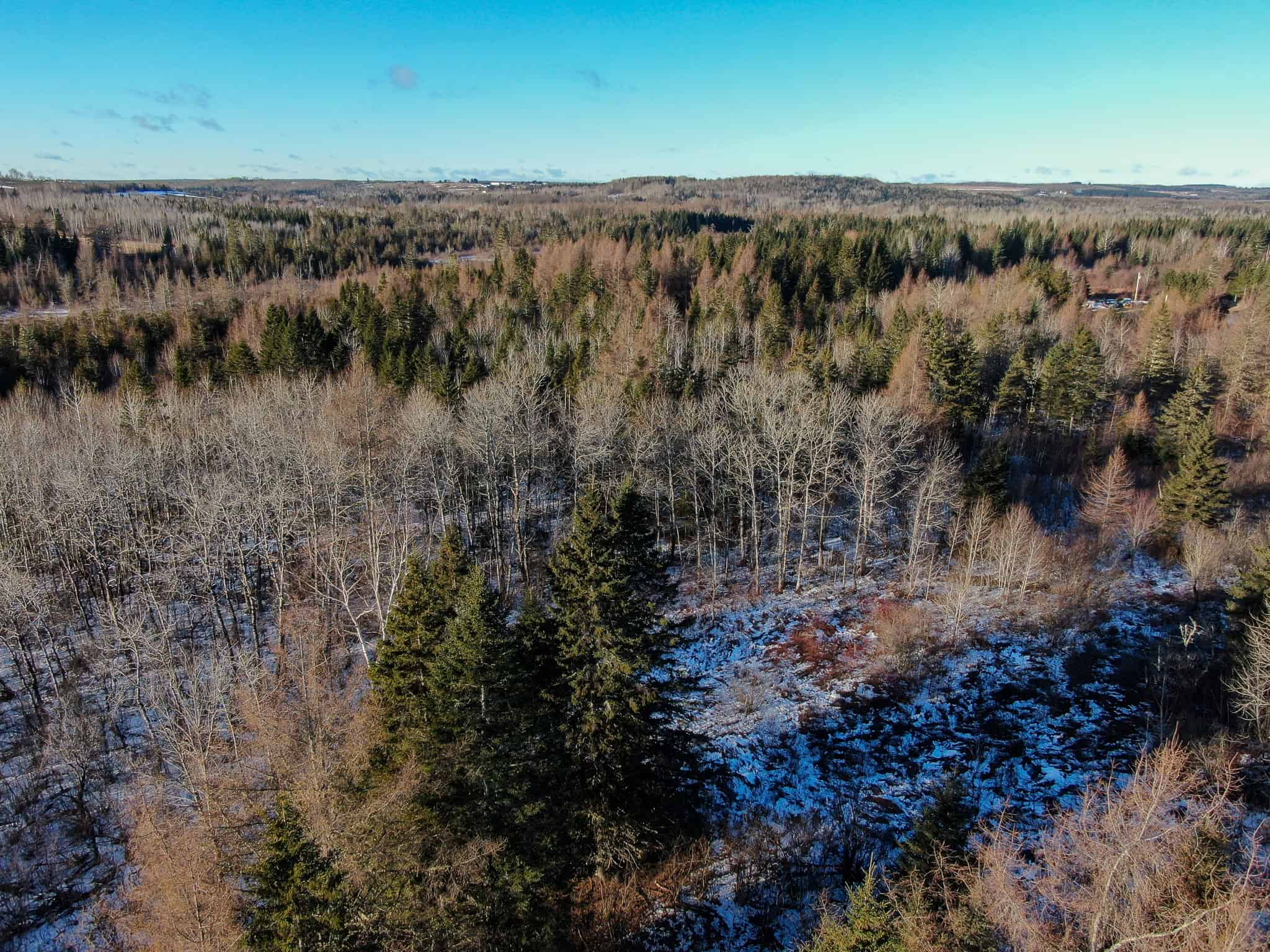 59 Acres in Northern Maine