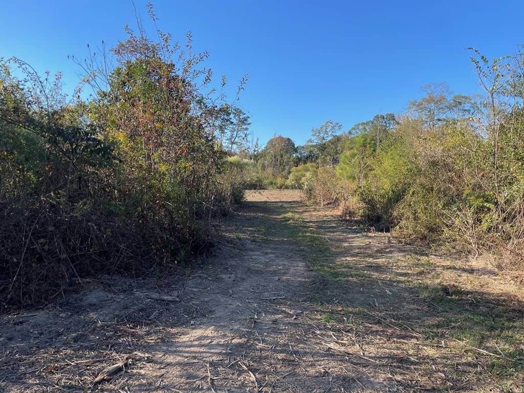 Amite River Hunting Tract For Sale