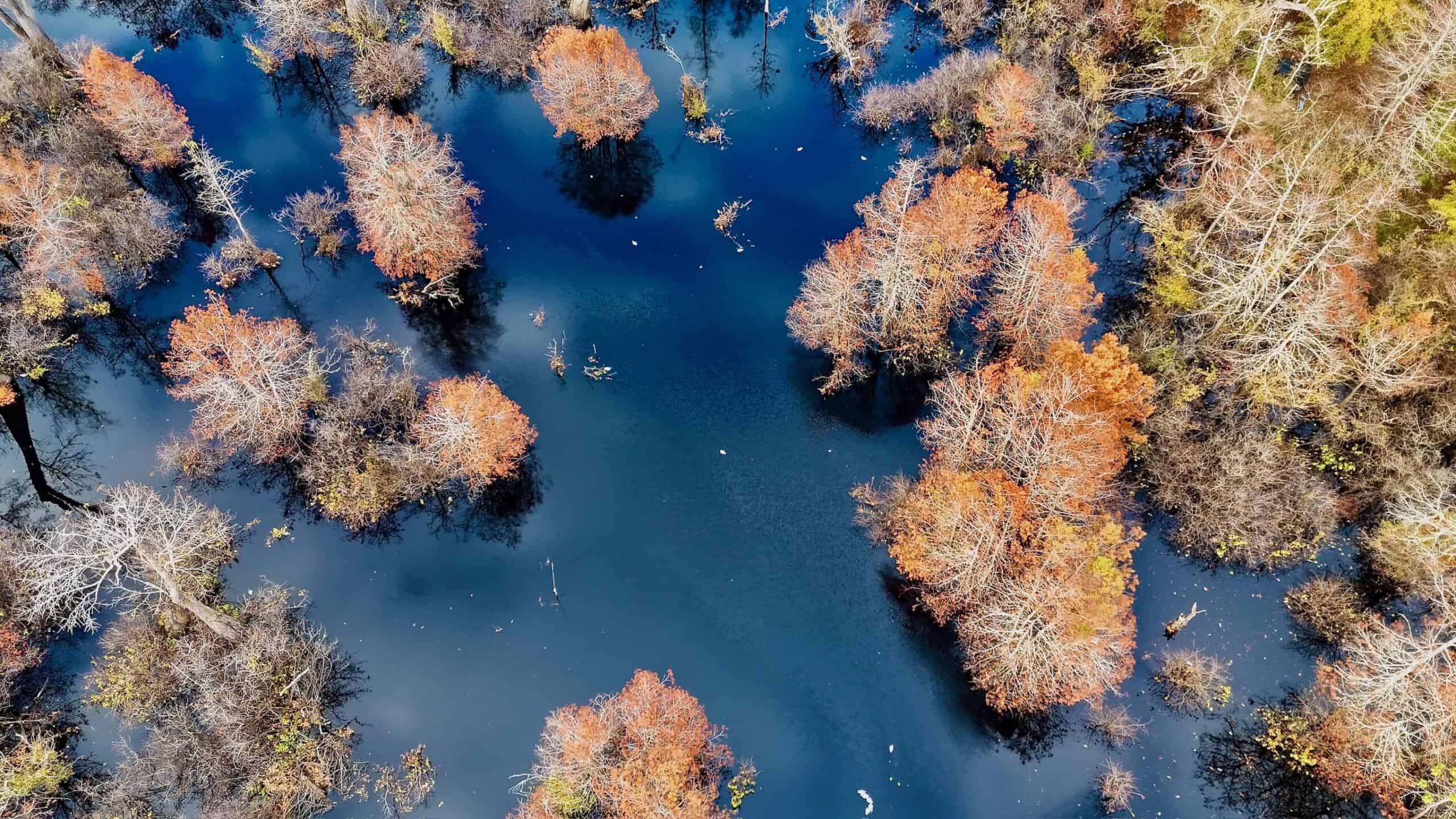 Duck and Deer Hunting Land for Sale with River Frontage