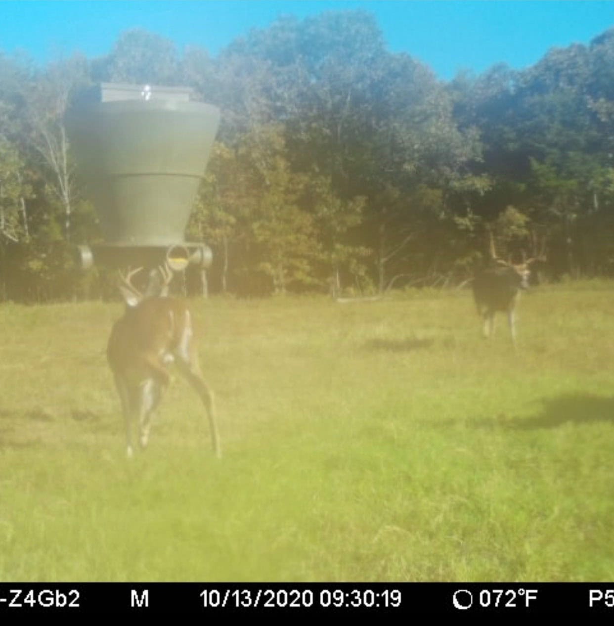 Premier Hunting & Cattle Ranch for Sale Near McAlester OK