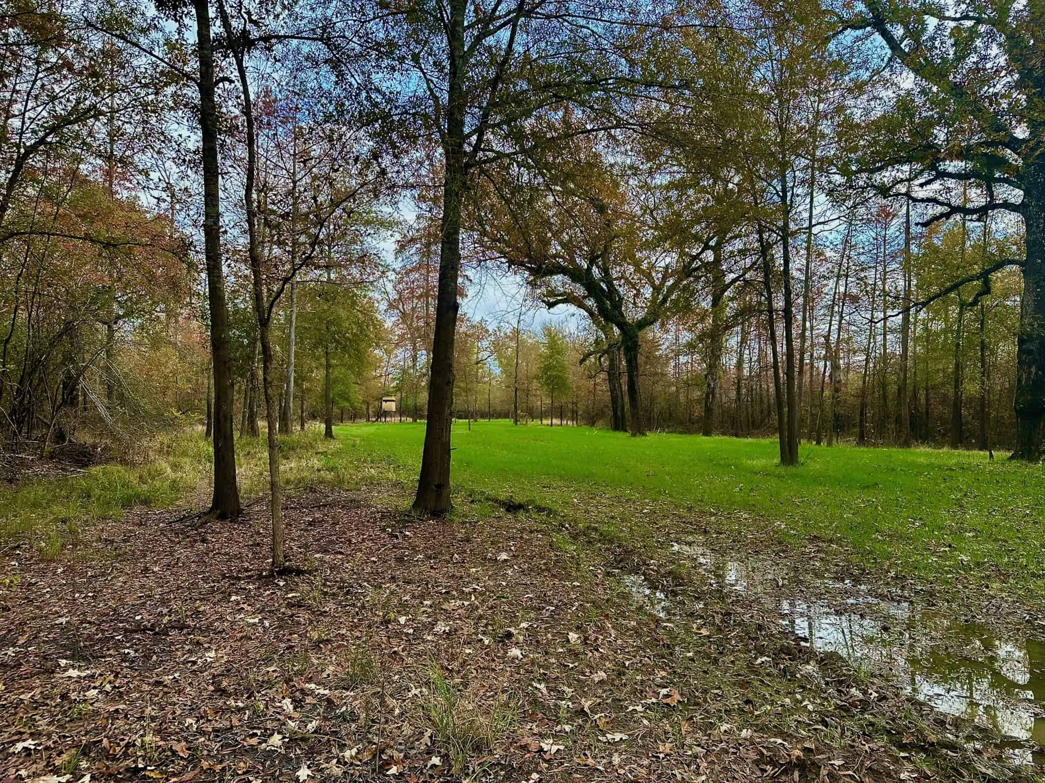 Duck and Deer Hunting Land for Sale with River Frontage