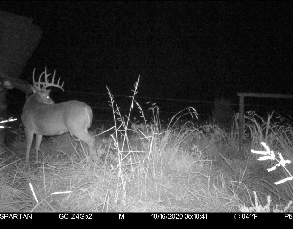 Premier Hunting & Cattle Ranch for Sale Near McAlester OK