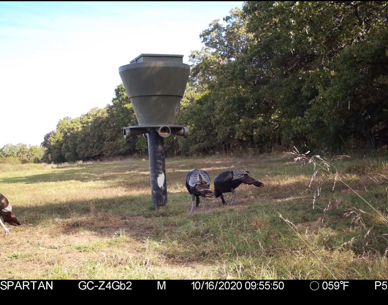 Premier Hunting & Cattle Ranch for Sale Near McAlester OK