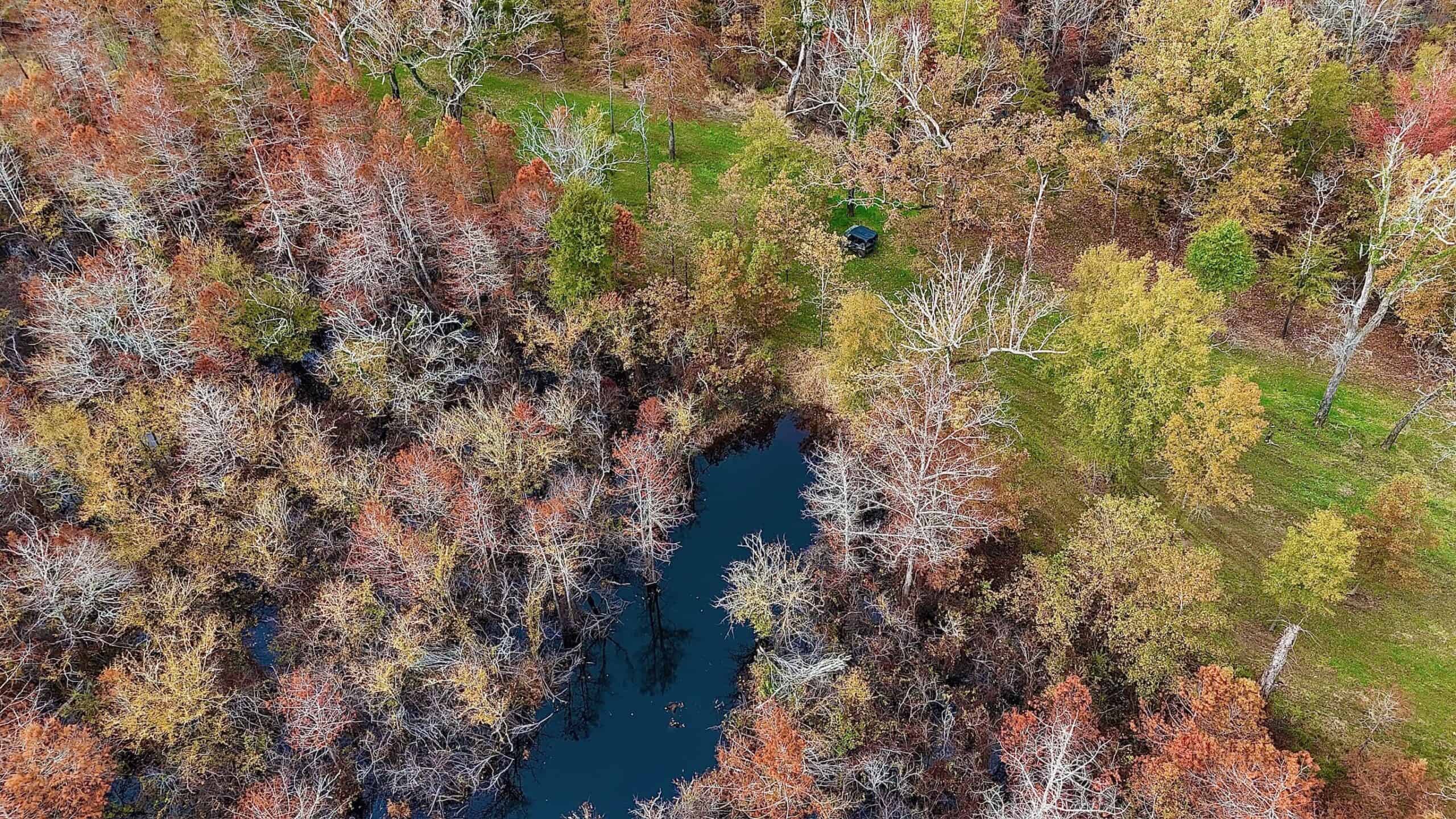 Duck and Deer Hunting Land for Sale with River Frontage